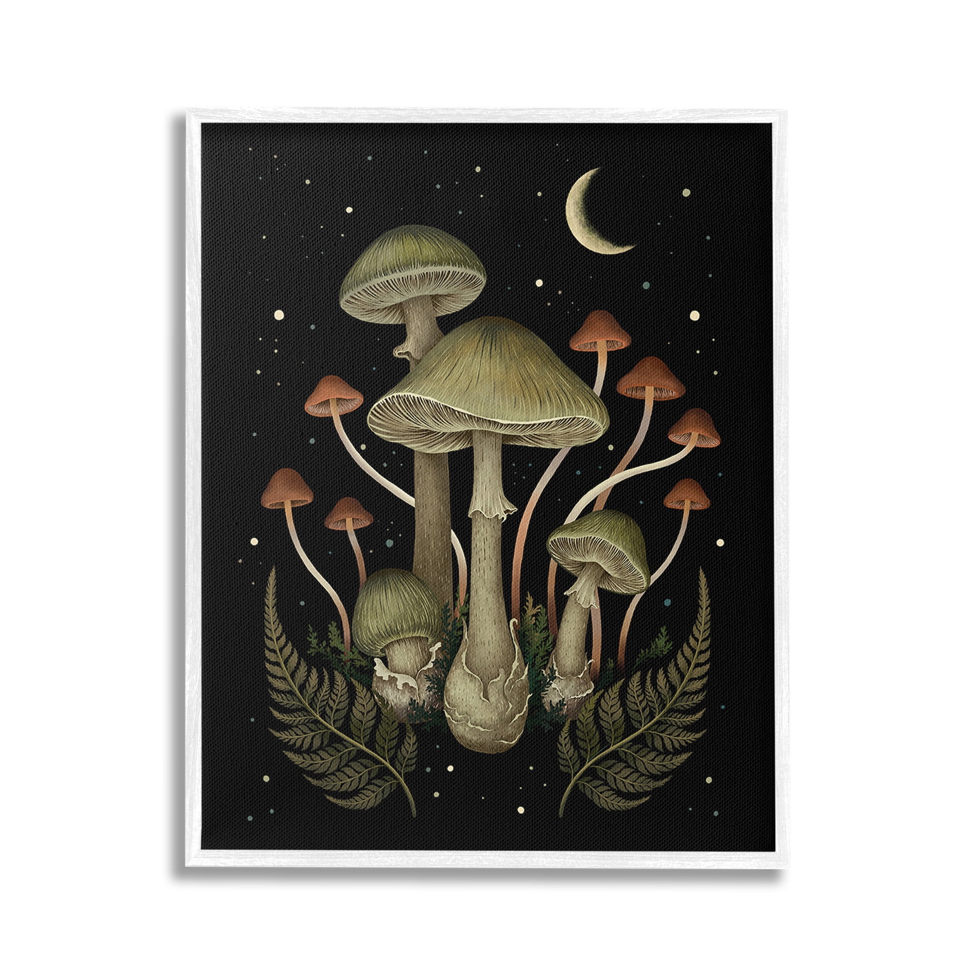 Stupell Industries Night Mushrooms & Ferns Botanical & Floral Painting White Framed Art Print Wall Art, 16 x 20