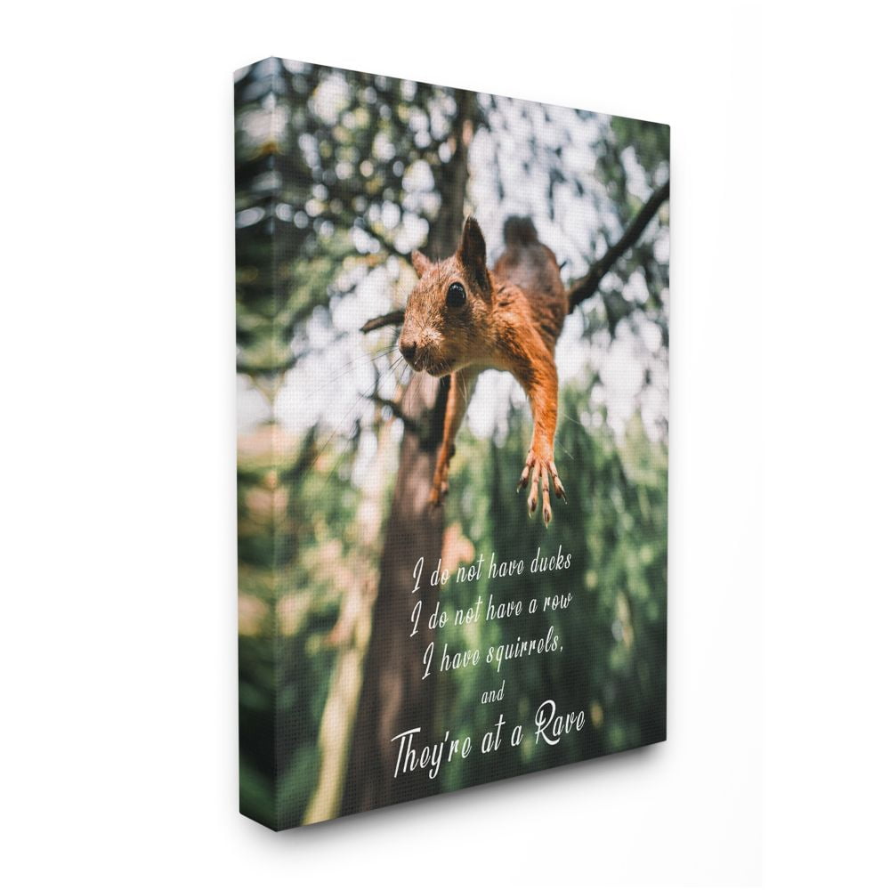 Stupell Industries No Ducks in Row, Only Squirrels at Rave Phrase