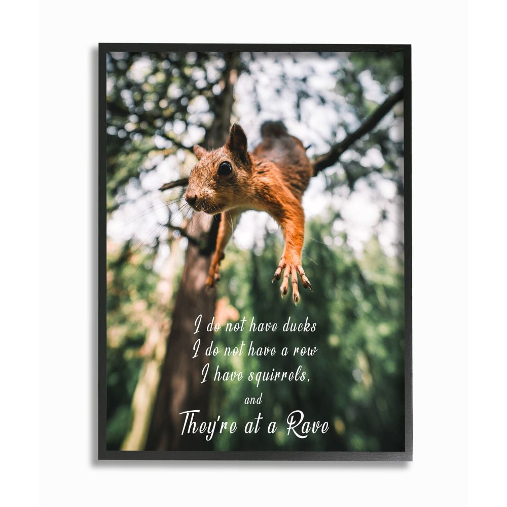 Stupell Industries No Ducks in Row, Only Squirrels at Rave Phrase Designed by Ziwei Li