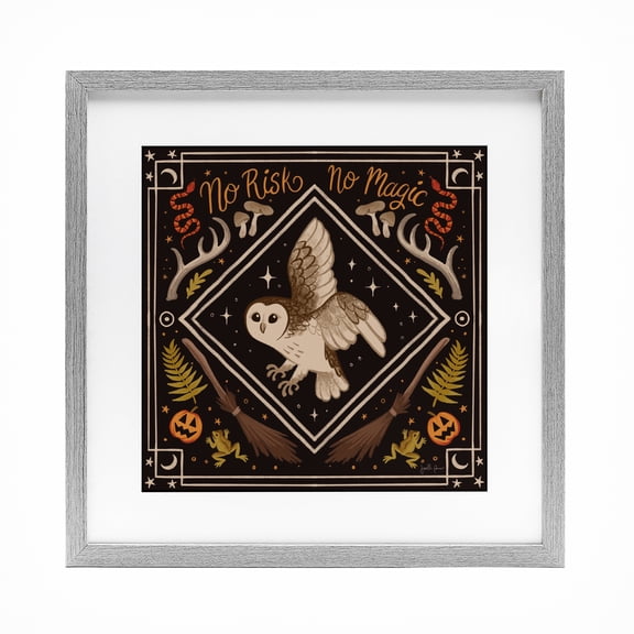 Stupell Industries No Risks or Magic Owl Gray Framed Print Under Glass design by Janelle Penner, 16 x 16