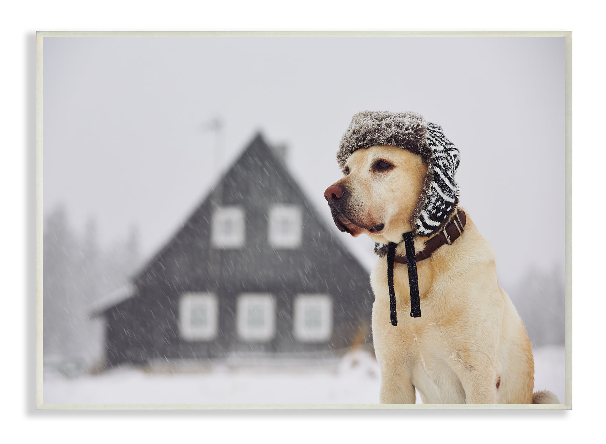 Stupell Industries Nordic Vibes Golden Retriever Dog Animals & Insects Painting Unframed Art Print Wall Art, 10 x 15