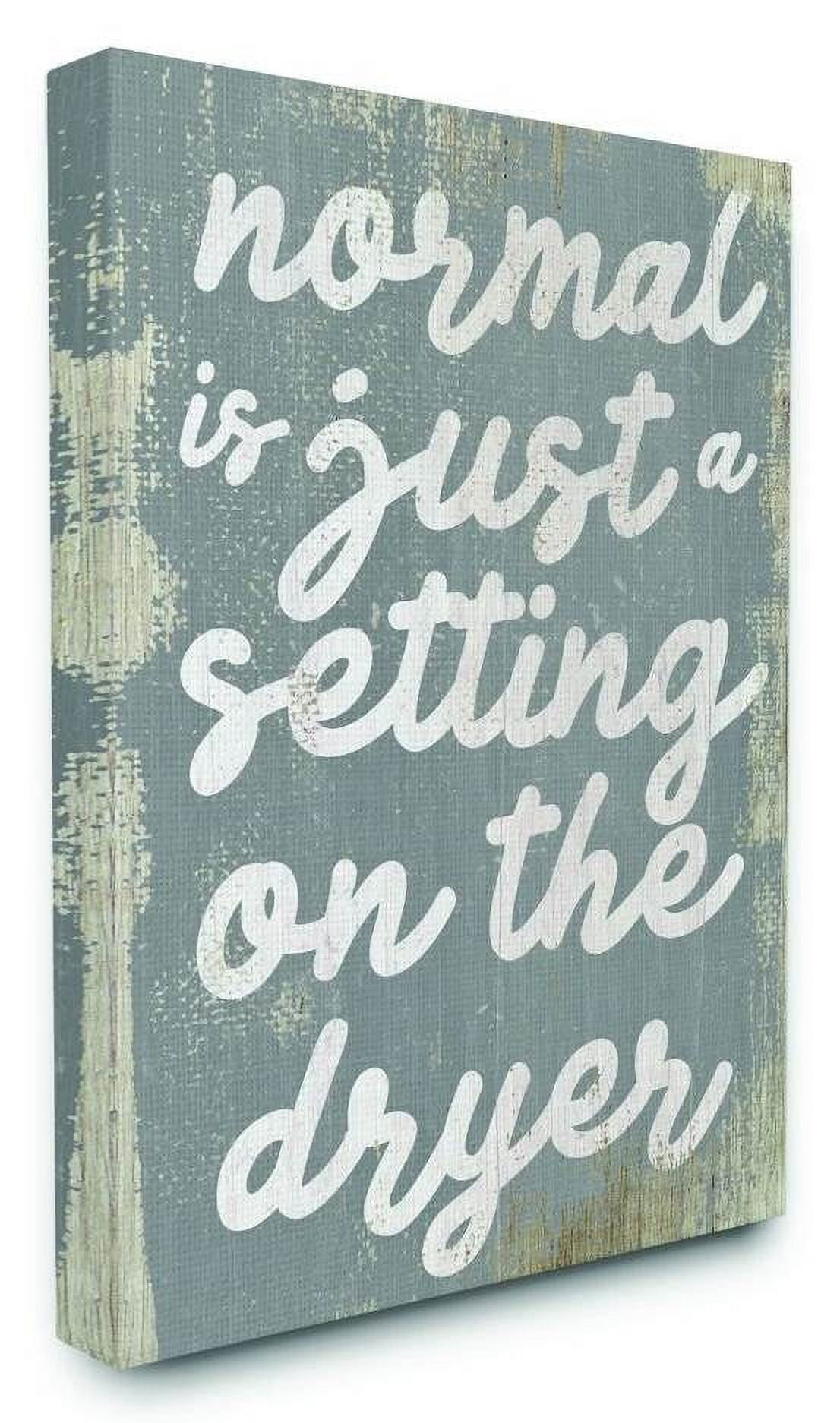 Stupell Industries Normal Setting Funny Family Laundry Bathroom Word Design Canvas Wall Art by Daphne Polselli