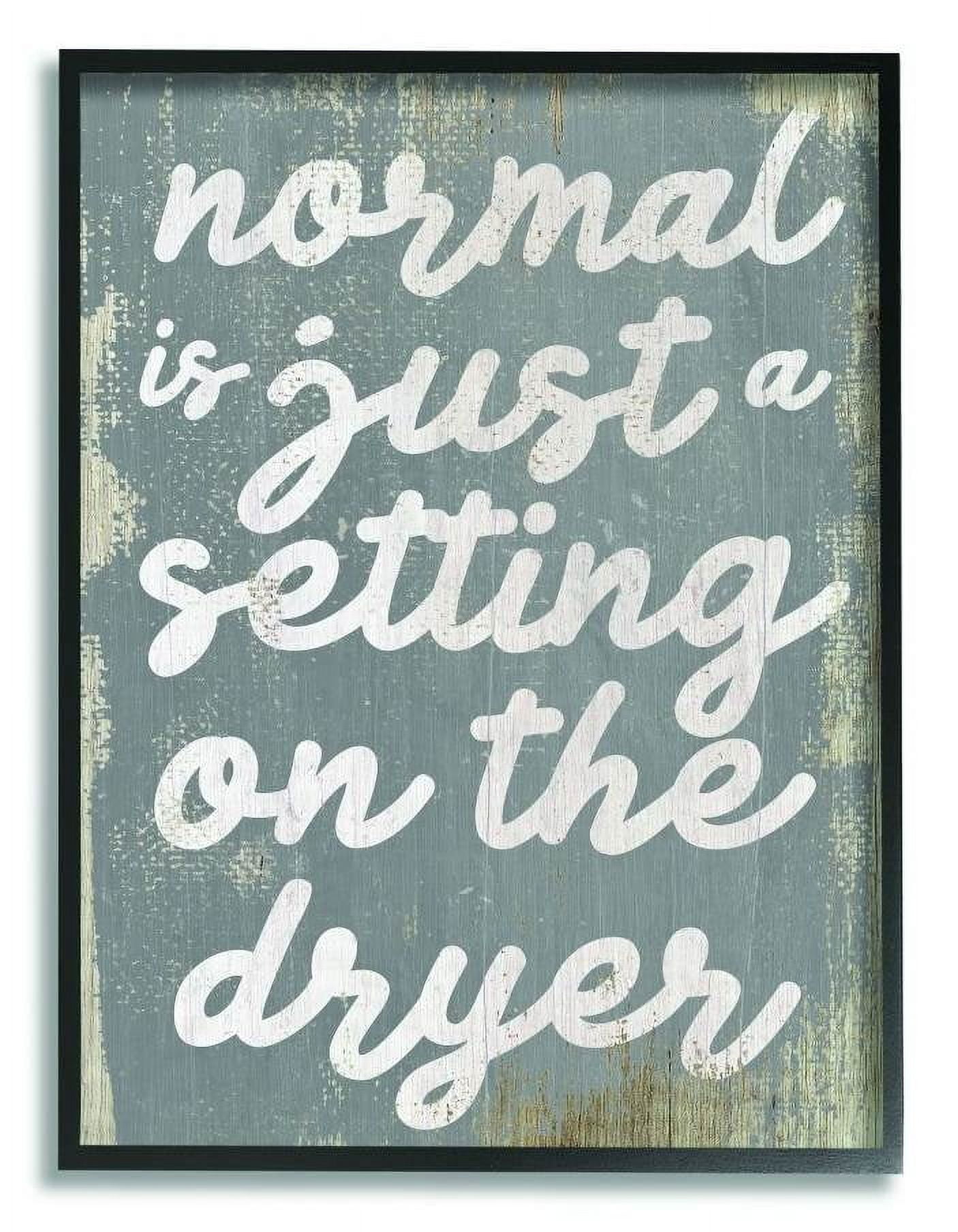 Stupell Industries Normal Setting Funny Family Laundry Bathroom Word Design Framed Wall Art by Daphne Polselli