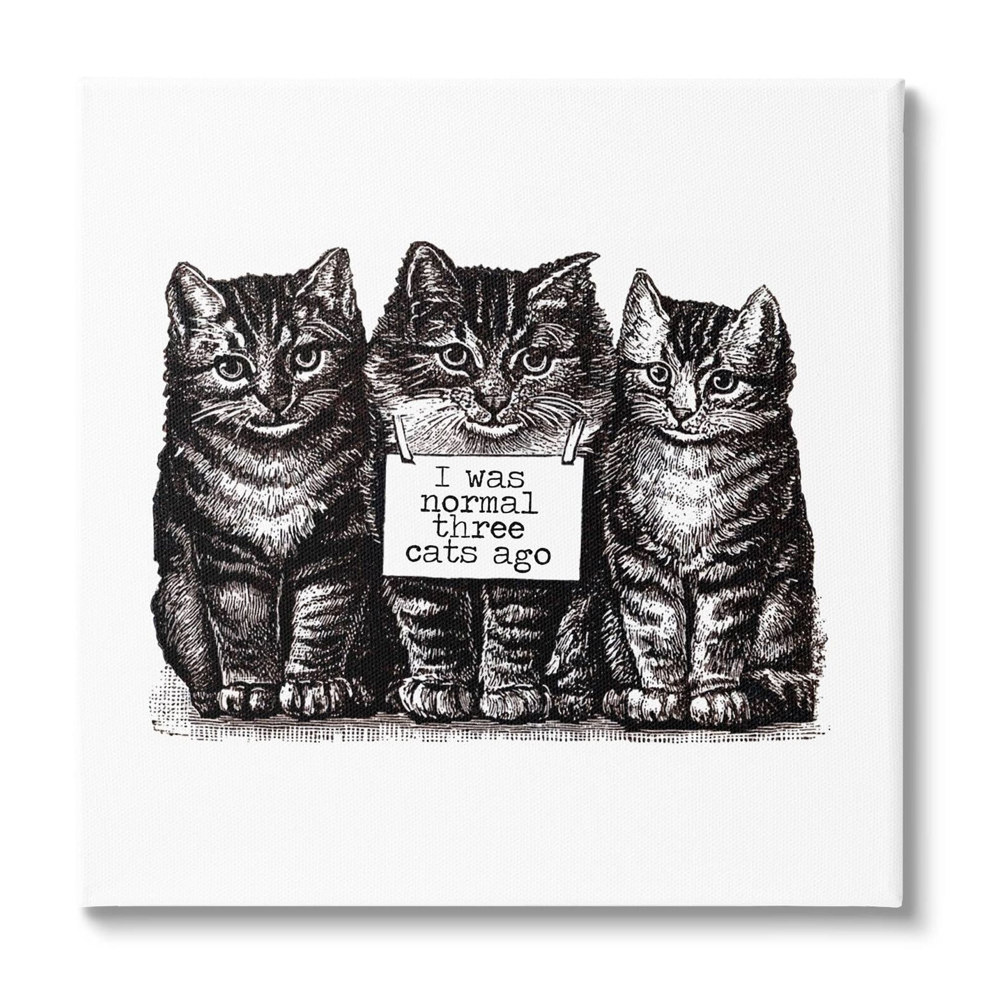 Stupell Industries Normal Three Cats Ago Phrase Monochrome Sign Canvas Wall Art, 17 x 17, Design by Amy Brinkman
