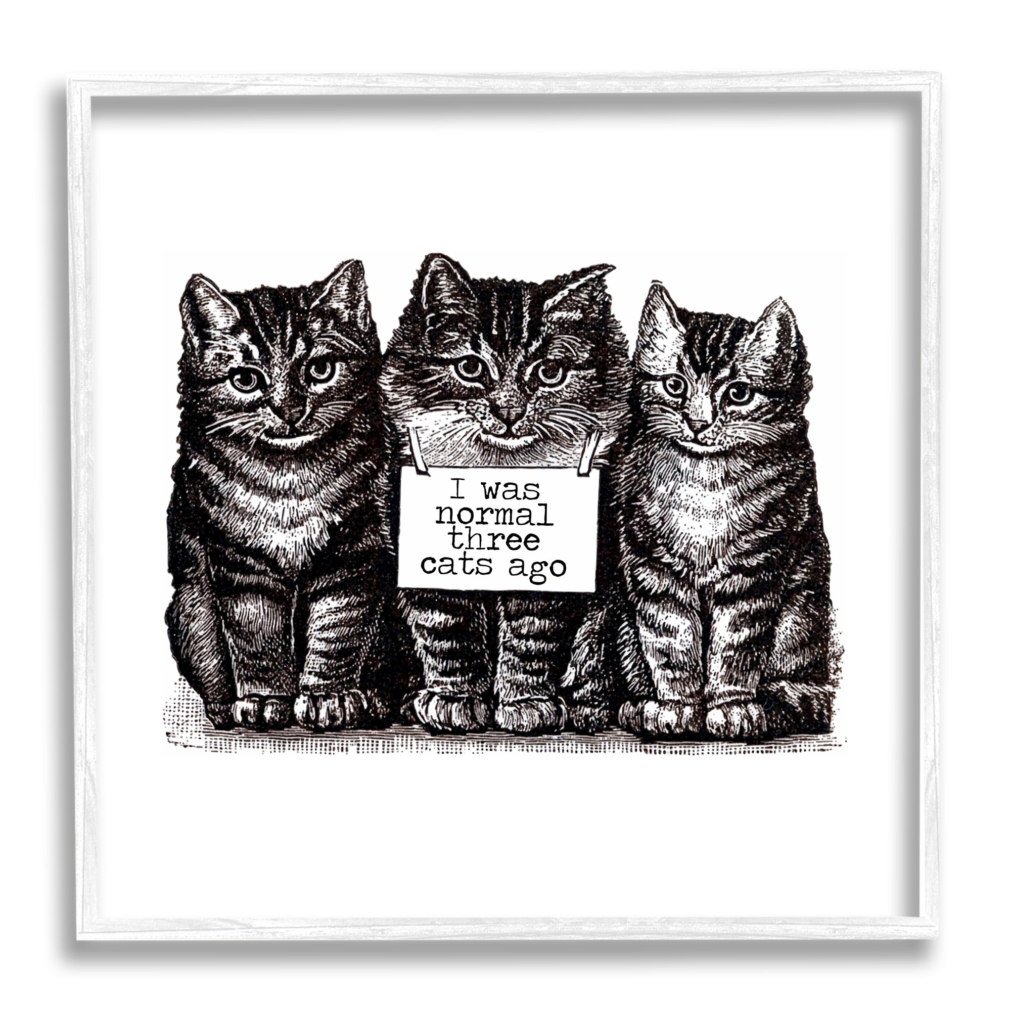 Stupell Industries Normal Three Cats Ago Phrase Monochrome Sign Framed Wall Art, 12 x 12, Design by Amy Brinkman