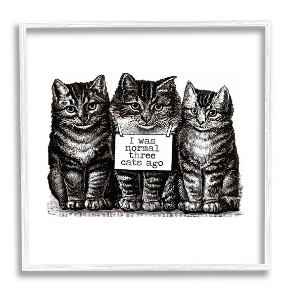 Stupell Industries Normal Three Cats Ago Phrase Monochrome Sign Framed Wall Art, 17 x 17, Design by Amy Brinkman