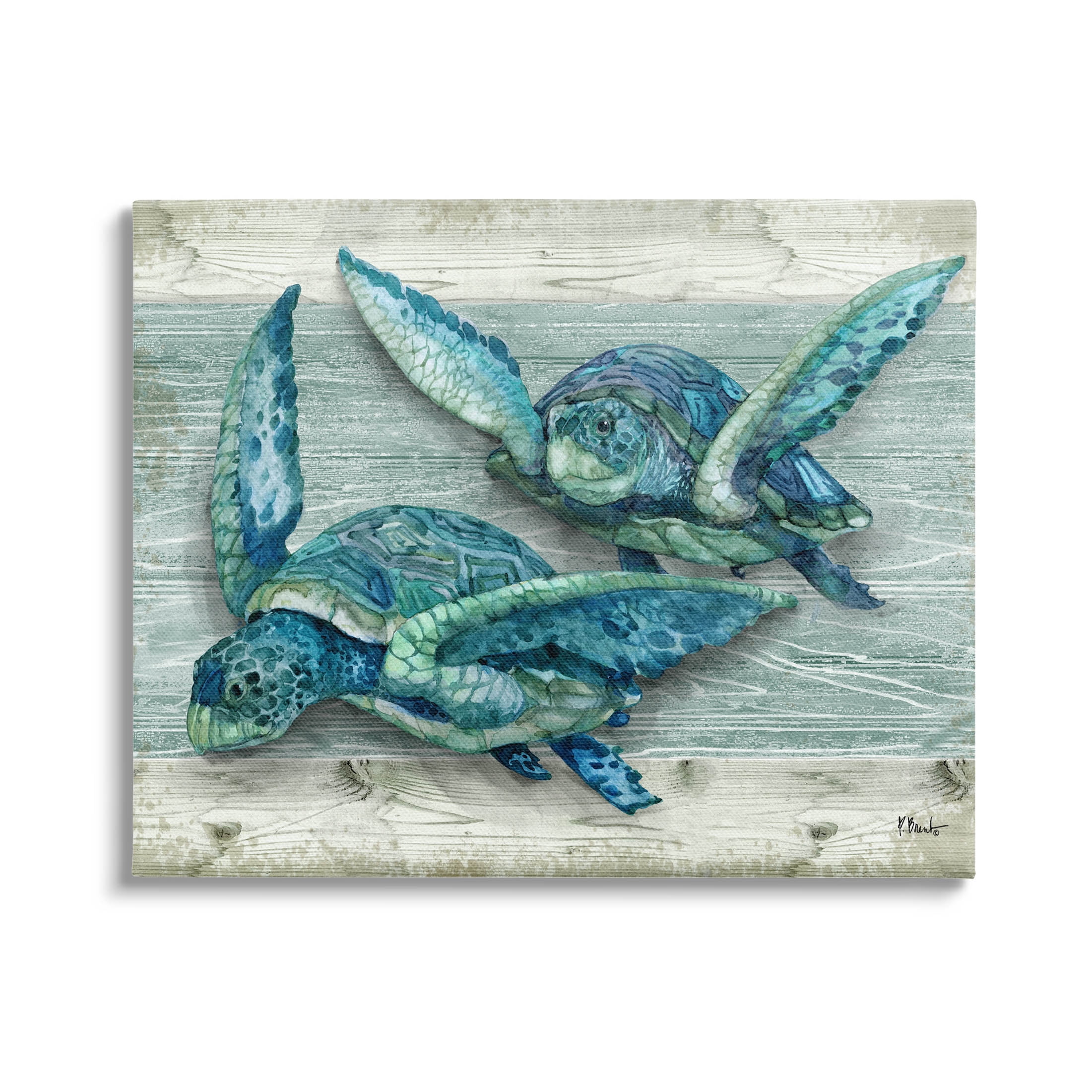 Stupell Industries Northpoint Sea Turtles Sealife Graphic Art Gallery Wrapped Canvas Print Wall Art, Design by Paul Brent