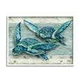thumbnail image 1 of Stupell Industries Northpoint Sea Turtles Sealife Graphic Art White Framed Art Print Wall Art, Design by Paul Brent, 1 of 8