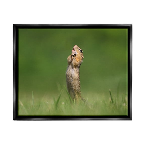 Stupell Industries O Sole Mio Funny Animal Animals & Insects Photography Black Floater Framed Canvas Art Print Wall Art, 21 x 17