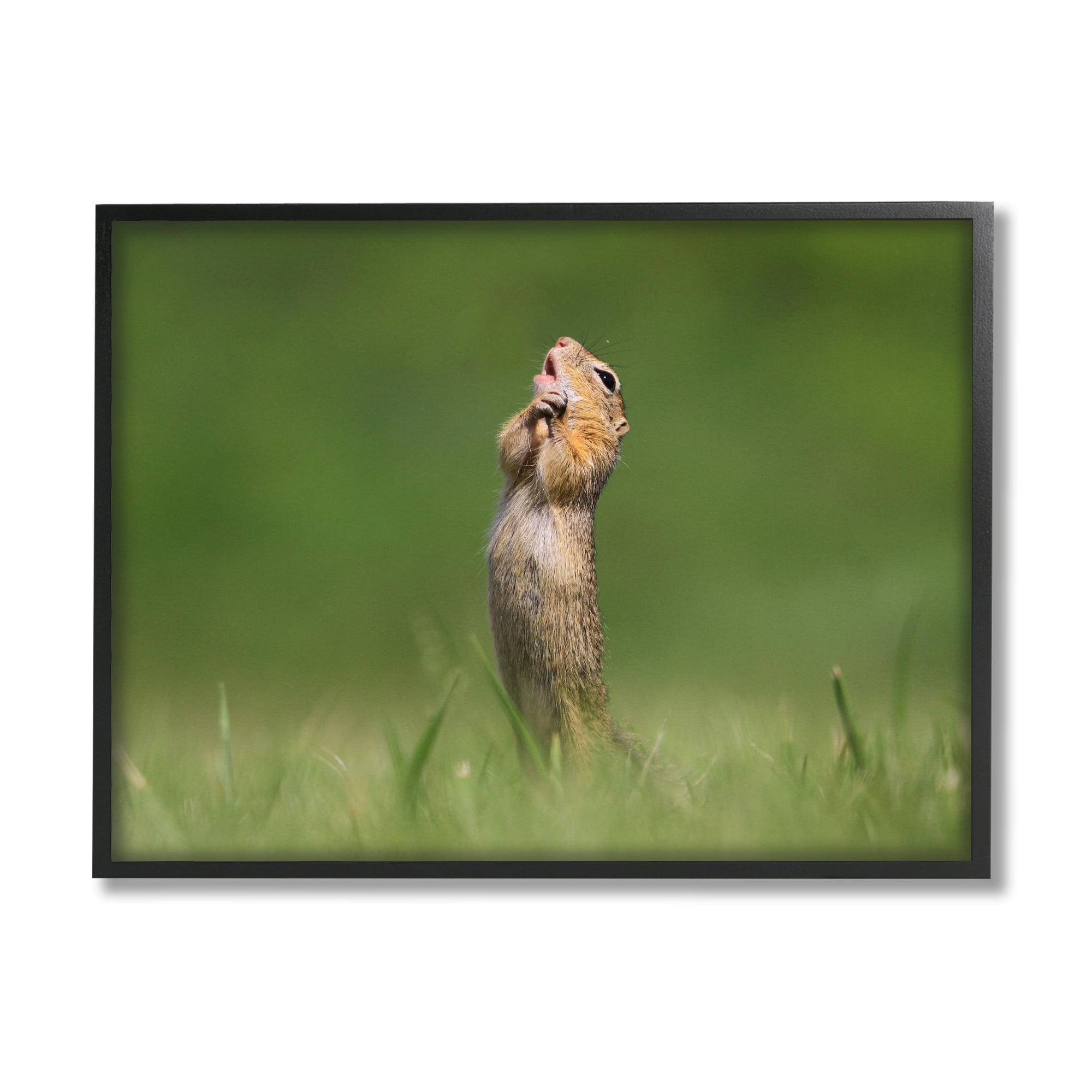 Stupell Industries O Sole Mio Funny Animal Animals & Insects Photography Black Framed Art Print Wall Art, 20 x 16