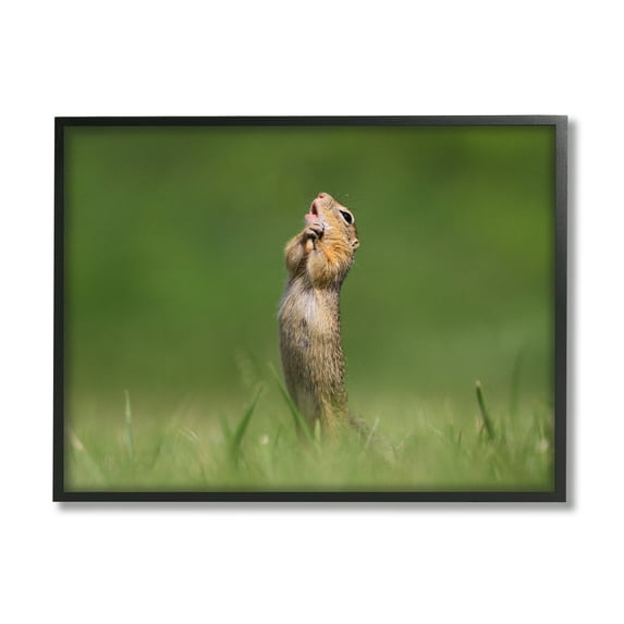 Stupell Industries O Sole Mio Funny Animal Animals & Insects Photography Black Framed Art Print Wall Art, 30 x 24