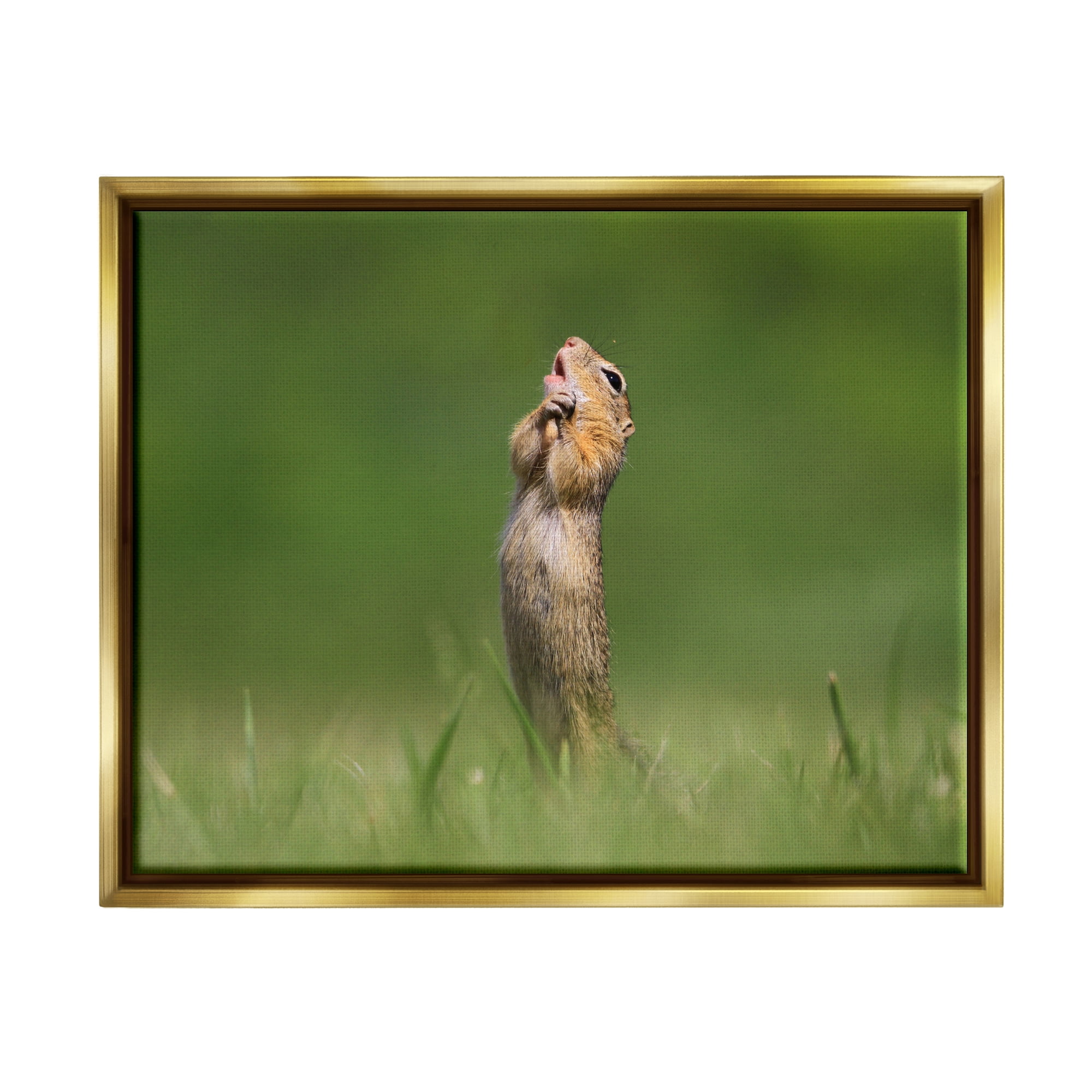 Stupell Industries O Sole Mio Funny Animal Animals & Insects Photography Gold Floater Framed Canvas Art Print Wall Art, 31 x 25