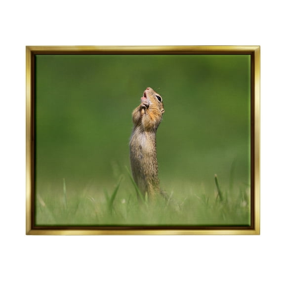 Stupell Industries O Sole Mio Funny Animal Animals & Insects Photography Gold Floater Framed Canvas Art Print Wall Art, 31 x 25
