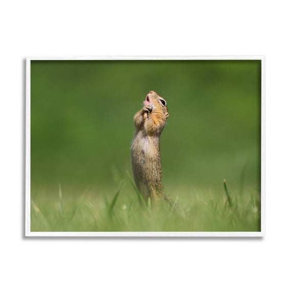 Stupell Industries O Sole Mio Funny Animal Animals & Insects Photography White Framed Art Print Wall Art, 20 x 16