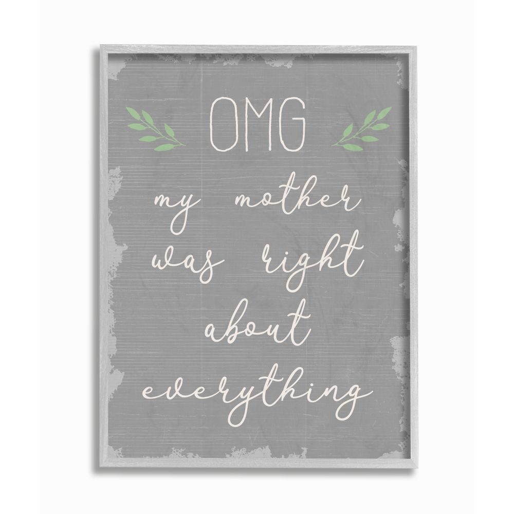 Stupell Industries OMG Mom is Right Funny Family Phrase Text Slang Framed Wall Art Design by Daphne Polselli, 16" x 20", Gray Framed
