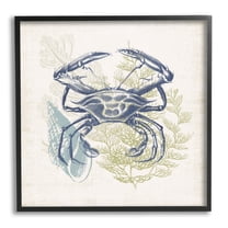 Stupell Industries Ocean Crab Detailed Botanical Overlay Rustic Design Graphic Art Black Framed Art Print Wall Art, Design by Victoria Barnes