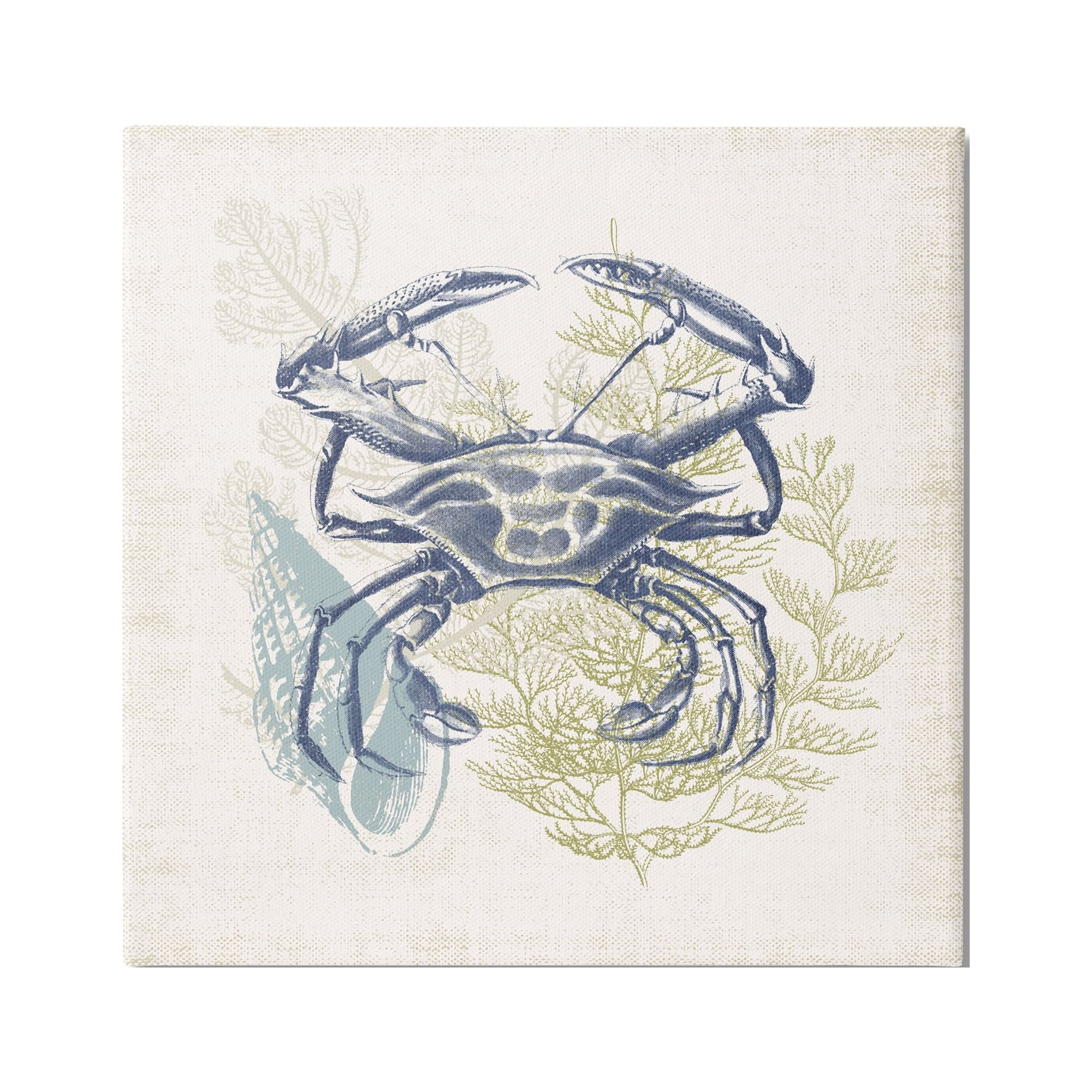Stupell Industries Ocean Crab Detailed Botanical Overlay Rustic Design Graphic Art Gallery Wrapped Canvas Print Wall Art, Design by Victoria Barnes