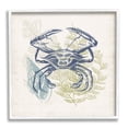 thumbnail image 1 of Stupell Industries Ocean Crab Detailed Botanical Overlay Rustic Design Graphic Art White Framed Art Print Wall Art, Design by Victoria Barnes, 1 of 5