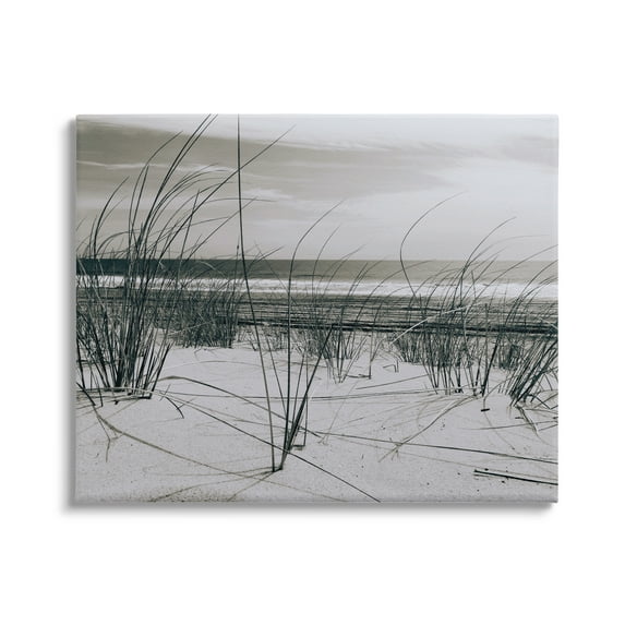 Stupell Industries Ocean Dunes Photography Landscape Photography Gallery Wrapped Canvas Art Print Wall Art, 48 x 36