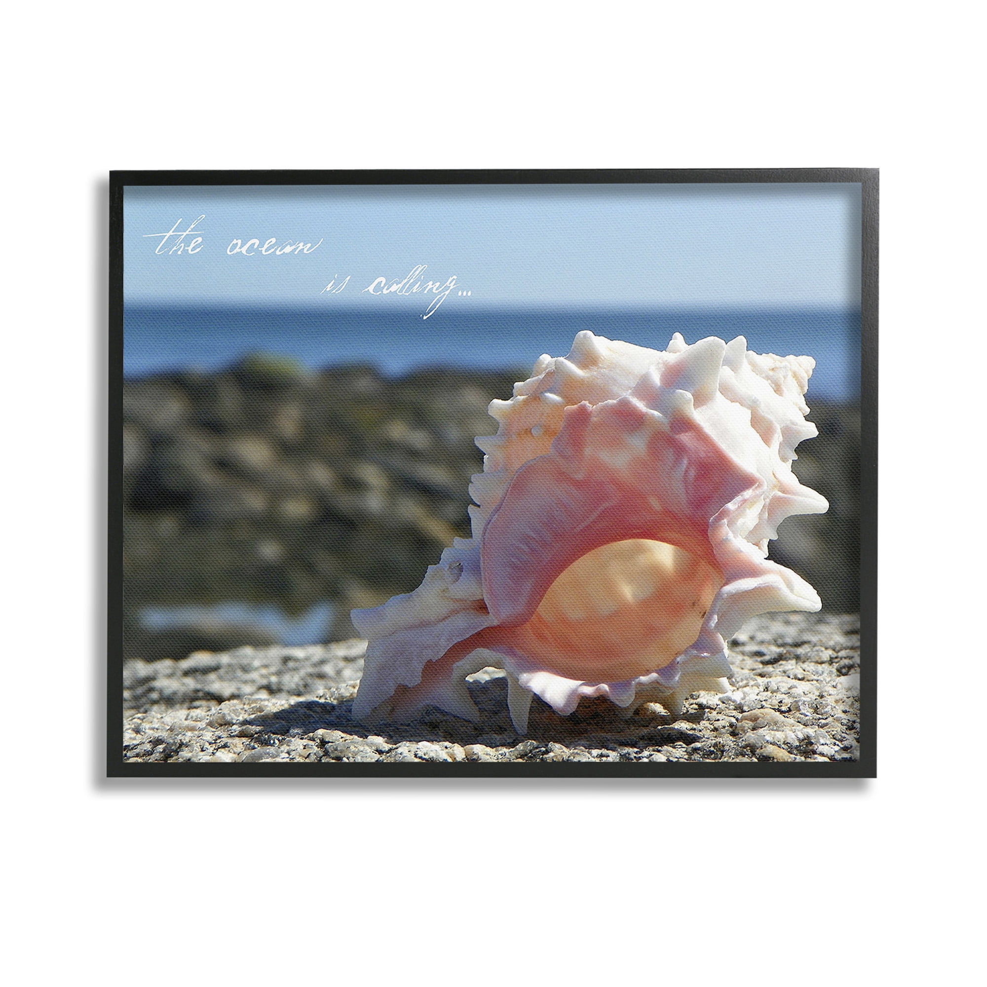 Stupell Industries Ocean Is Calling Conch Typography Photography Black Framed Art Print Wall Art, 14 x 11
