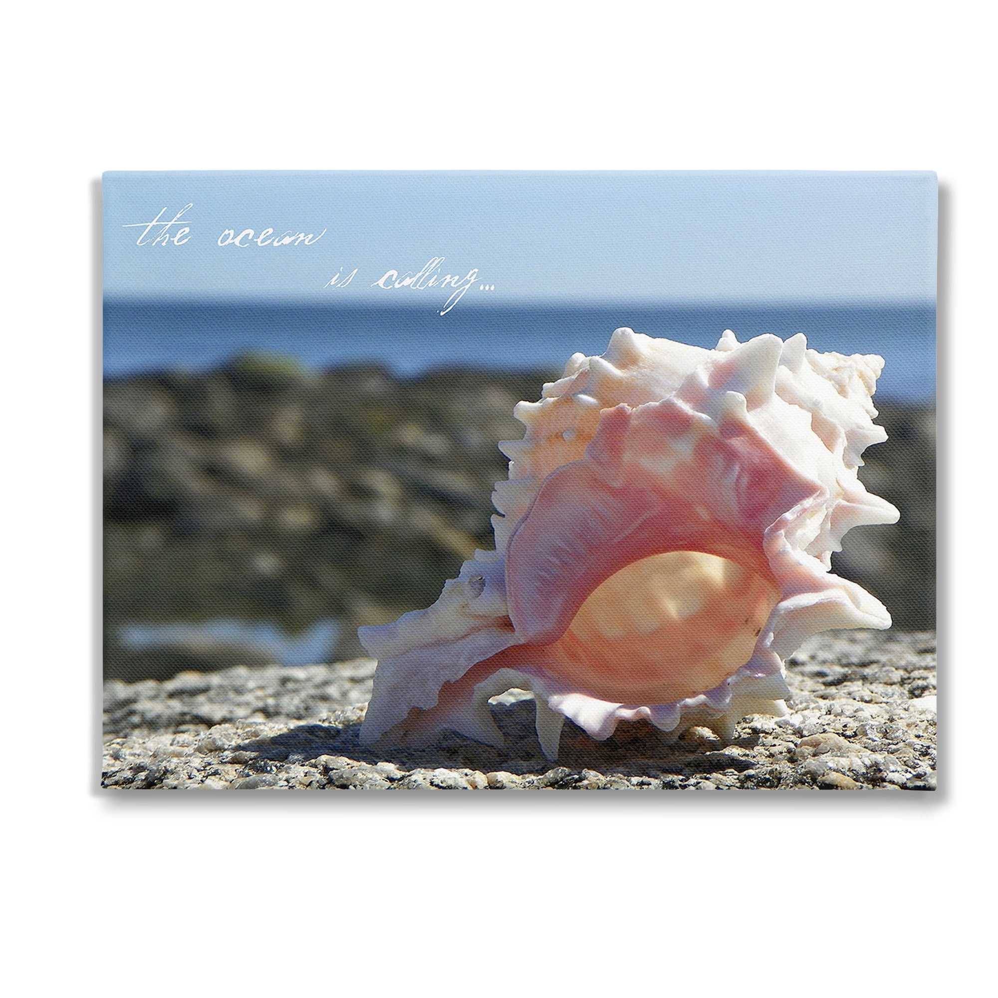 Stupell Industries Ocean Is Calling Conch Typography Photography Gallery Wrapped Canvas Art Print Wall Art, 40 x 30