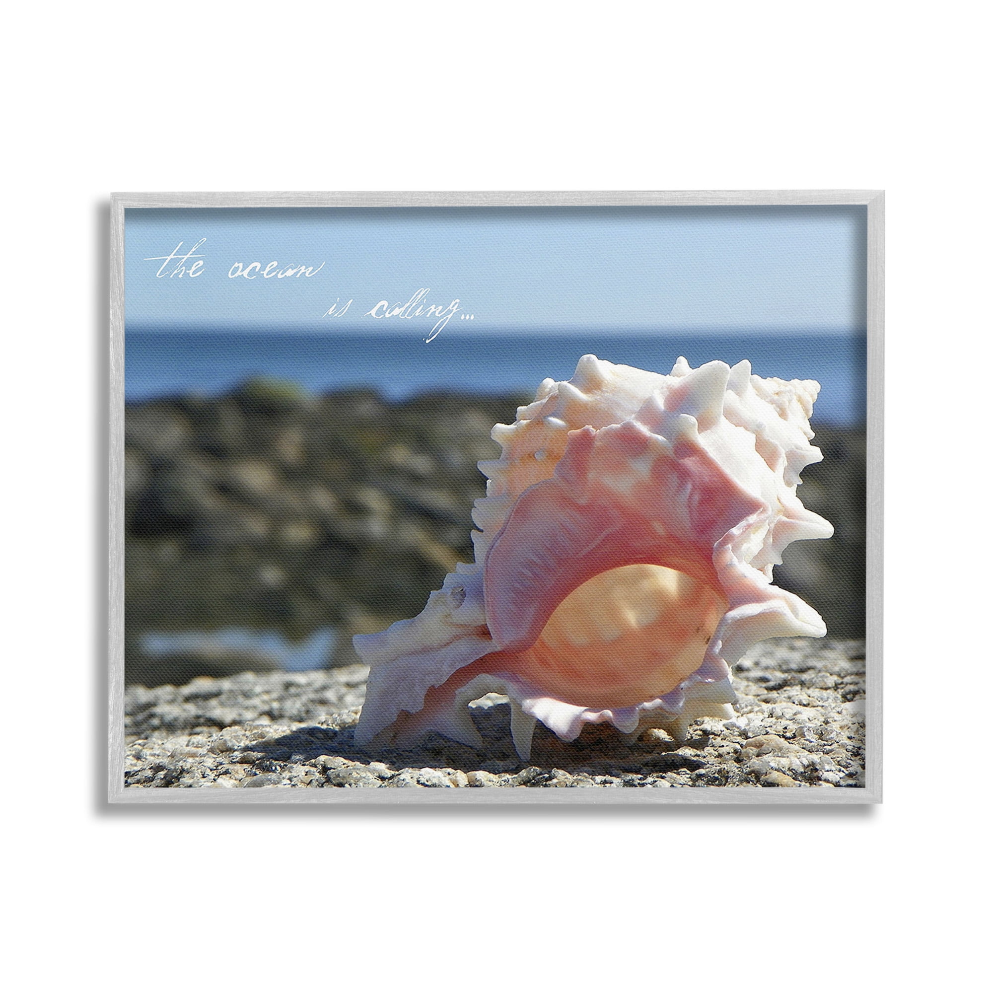 Stupell Industries Ocean Is Calling Conch Typography Photography Gray Framed Art Print Wall Art, 30 x 24