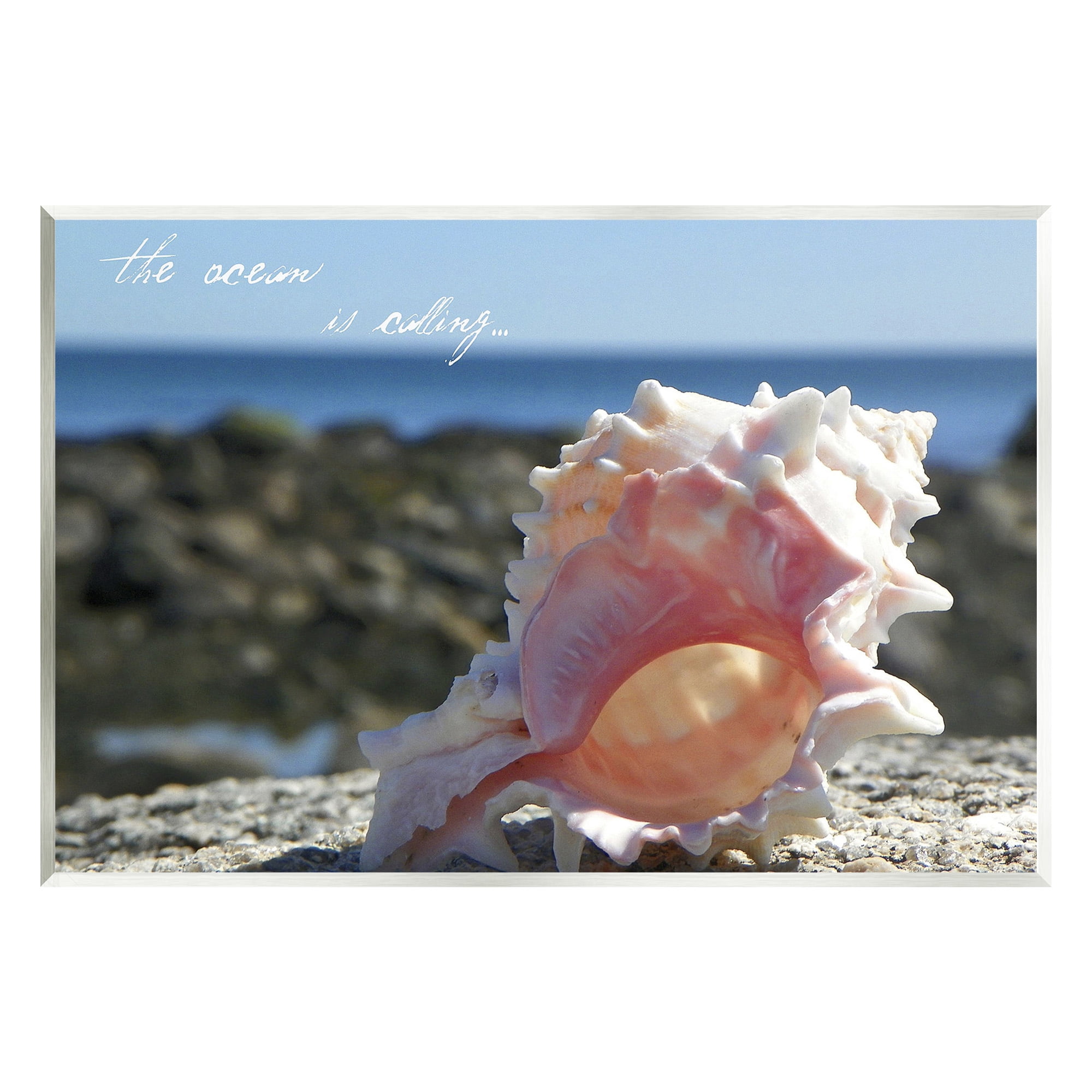 Stupell Industries Ocean Is Calling Conch Typography Photography Unframed Art Print Wall Art, 15 x 10