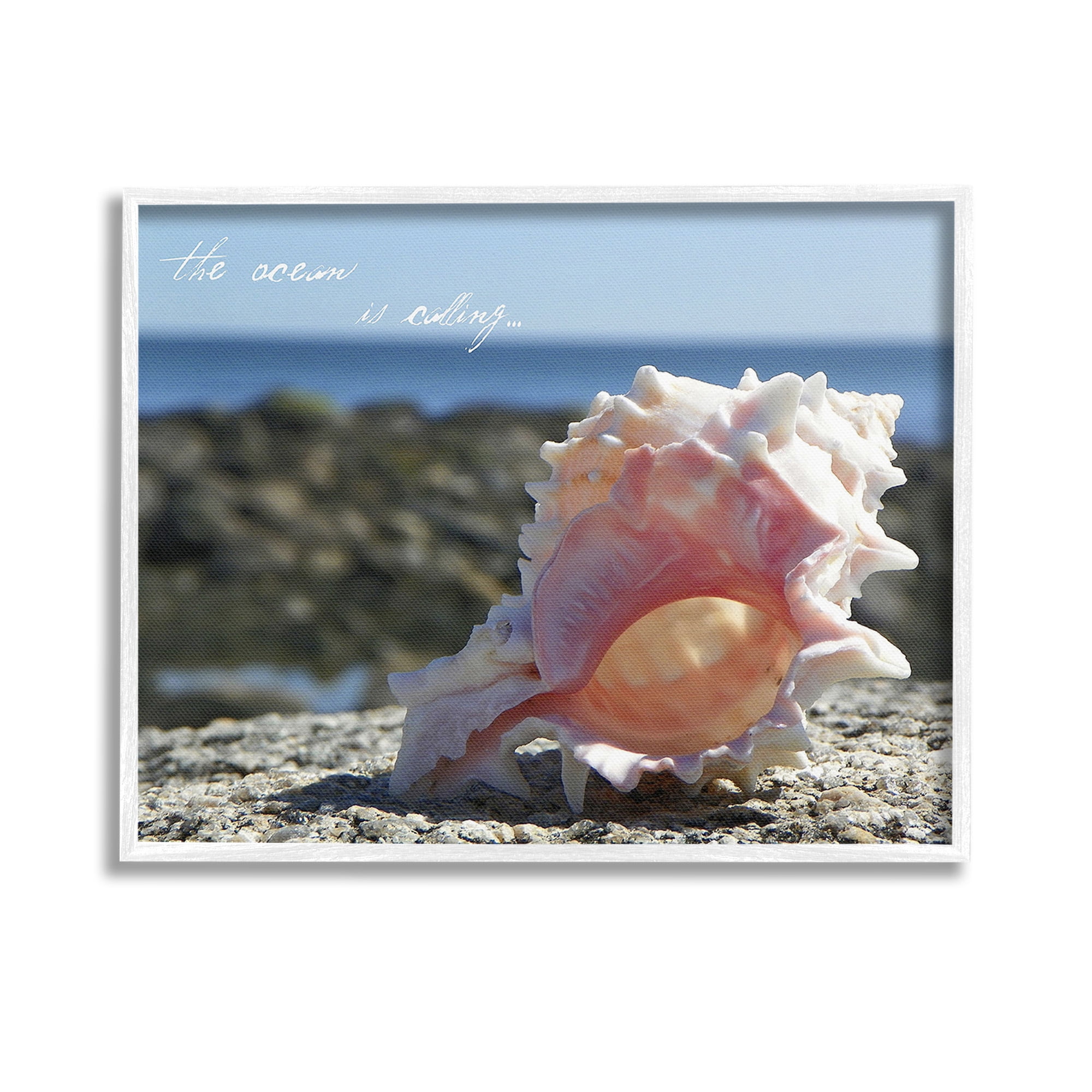 Stupell Industries Ocean Is Calling Conch Typography Photography White Framed Art Print Wall Art, 14 x 11