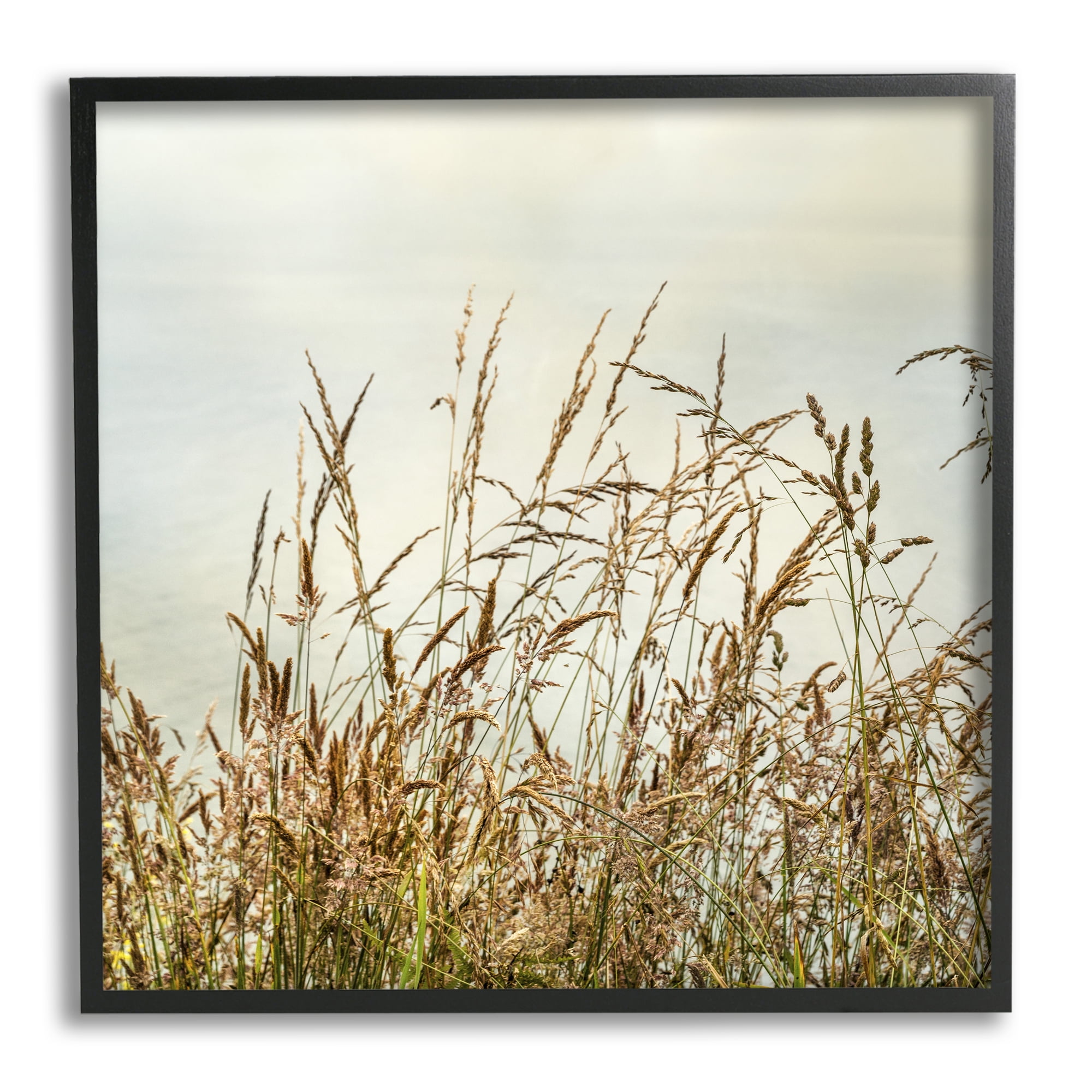 Stupell Industries Ocean Reeds Photography Landscape Photography Black Framed Art Print Wall Art, 17 x 17