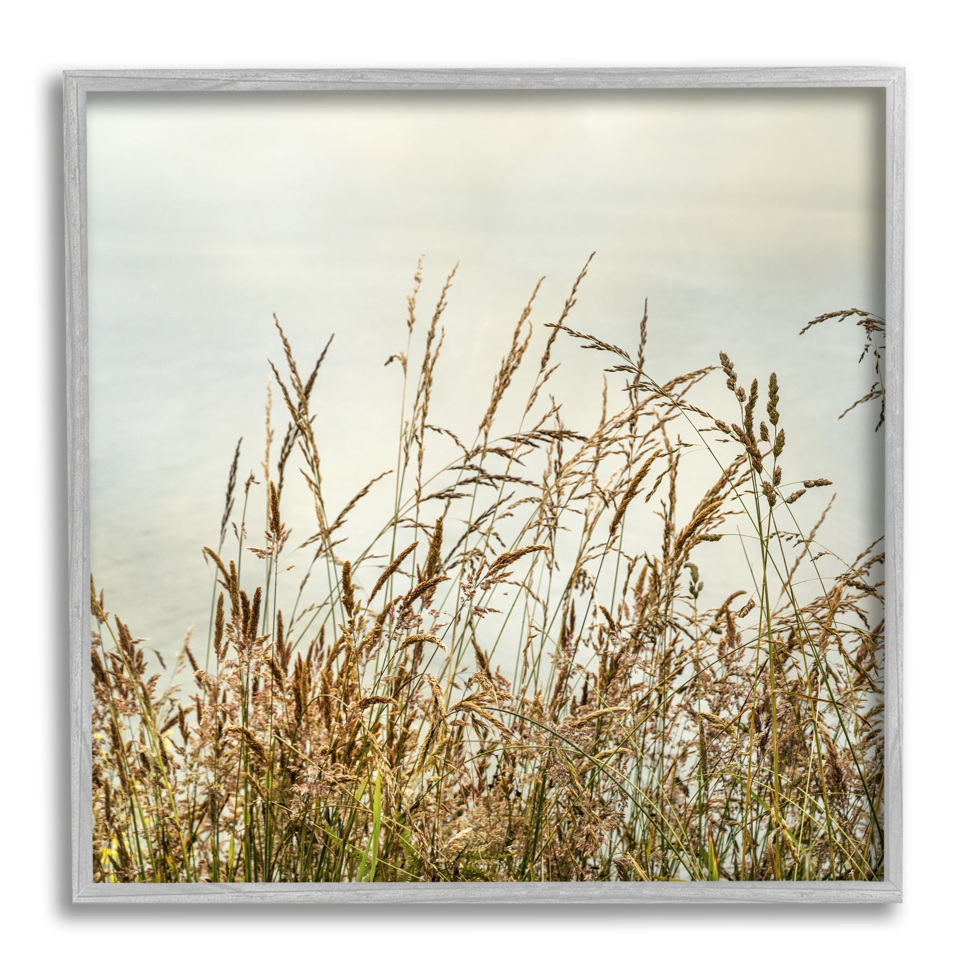 Stupell Industries Ocean Reeds Photography Landscape Photography Gray Framed Art Print Wall Art, 12 x 12
