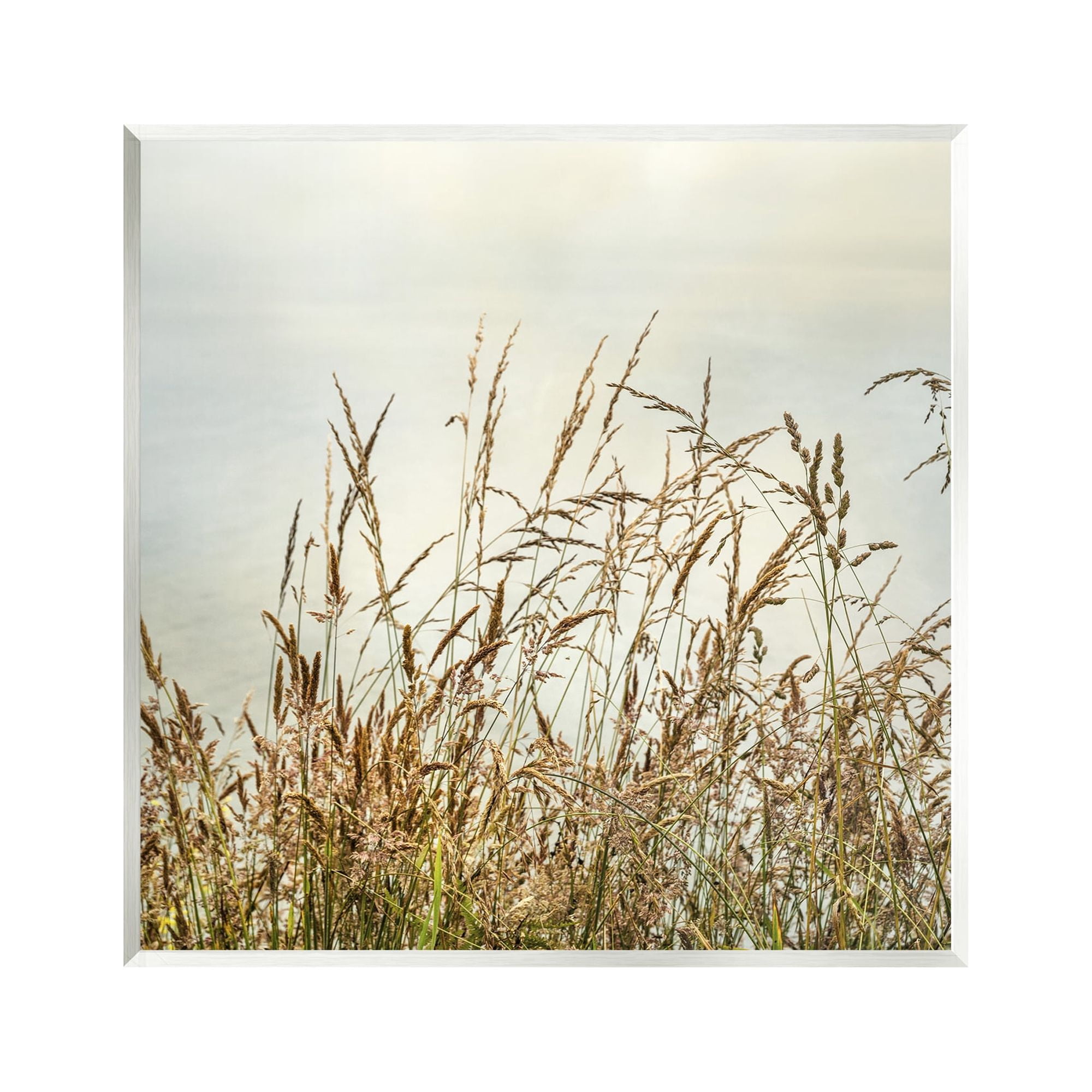 Stupell Industries Ocean Reeds Photography Landscape Photography Unframed Art Print Wall Art, 12 x 12