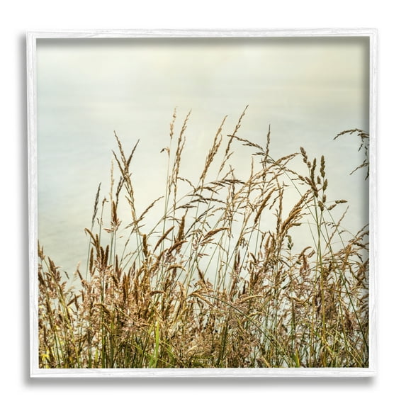 Stupell Industries Ocean Reeds Photography Landscape Photography White Framed Art Print Wall Art, 12 x 12