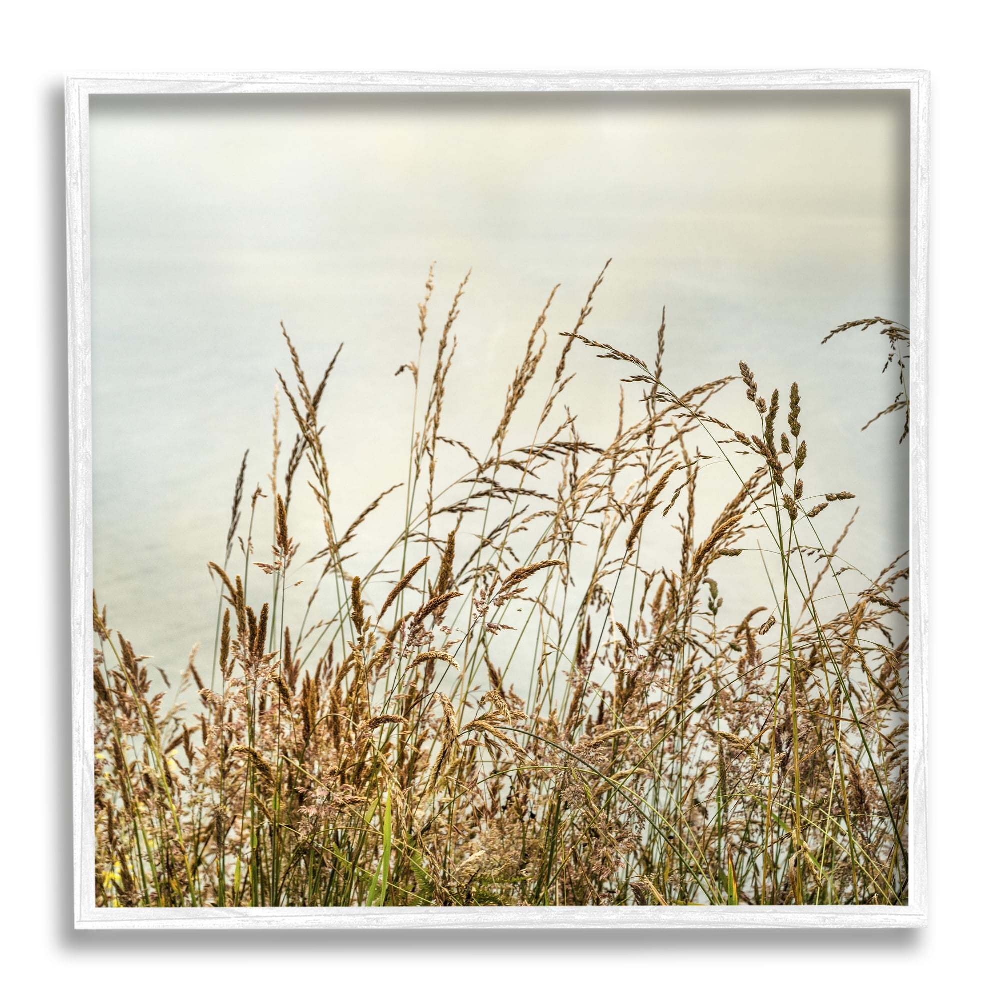 Stupell Industries Ocean Reeds Photography Landscape Photography White Framed Art Print Wall Art, 17 x 17