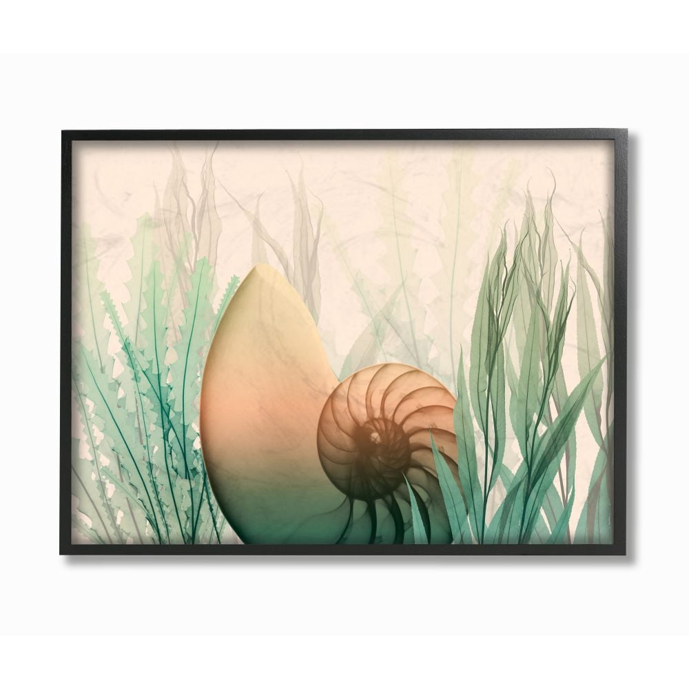 Stupell Industries Ocean Seashell Seaweed Collage Design Graphic Art Black Framed Art Print Wall Art, 16x20, by Albert Koetsier