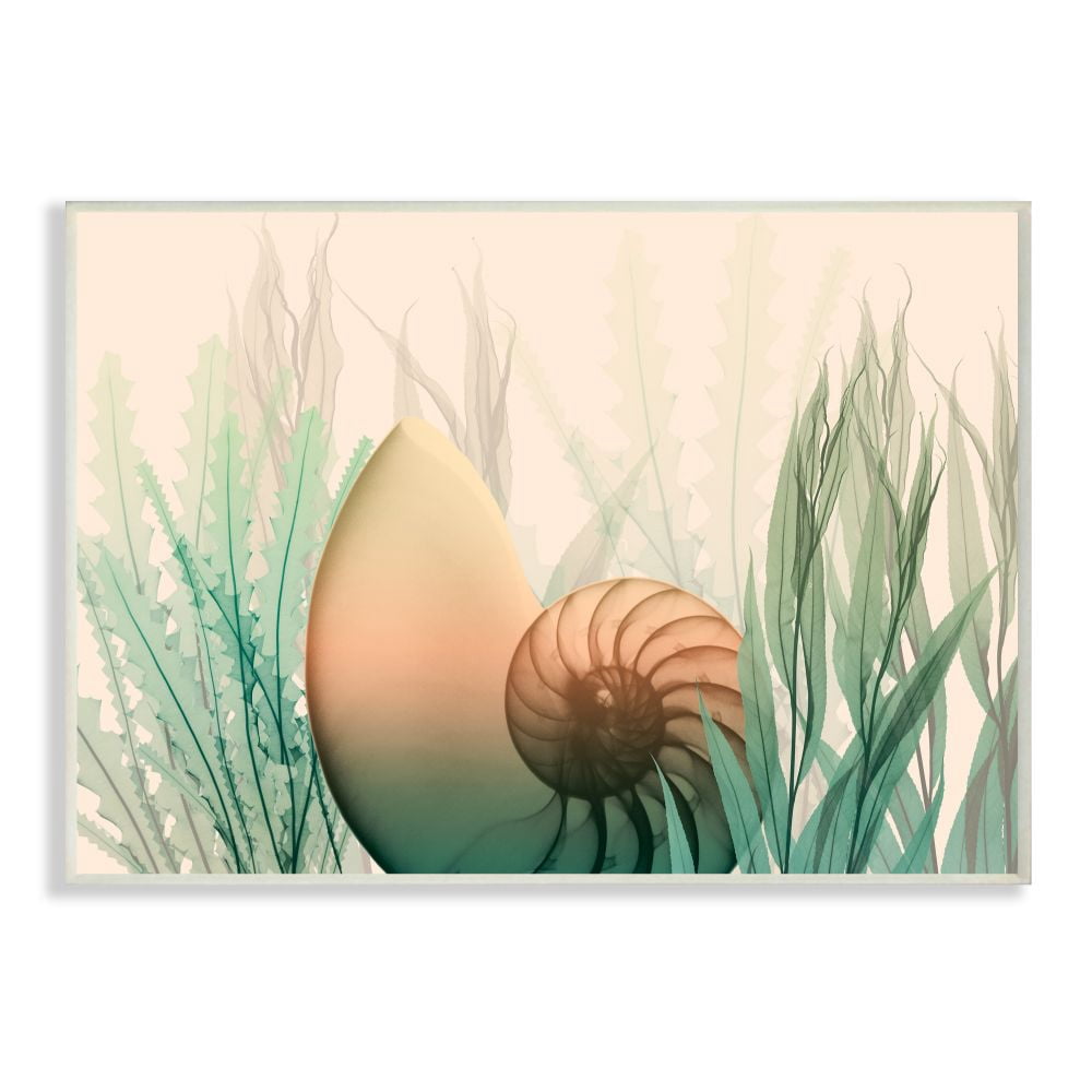 Stupell Industries Ocean Seashell Seaweed Collage Design Wall Plaque by Albert Koetsier, 13" x 19", Wall Plaque