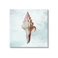 thumbnail image 1 of Stupell Industries Ocean Waves Conch Shell Graphic Art Gallery Wrapped Canvas Print Wall Art, Design by Marcus Prime, 1 of 7