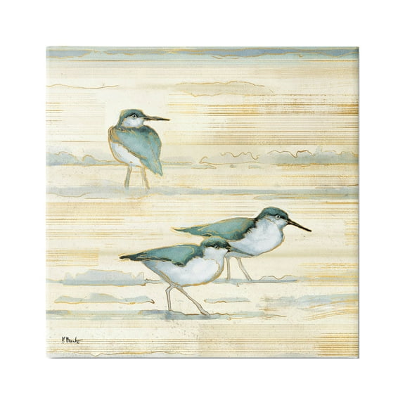 Stupell Industries Oceanside Sandpipers Beach Birds Graphic Art Gallery Wrapped Canvas Print Wall Art, Design by Paul Brent
