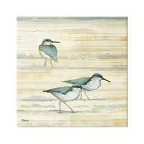 Stupell Industries Oceanside Sandpipers Beach Birds Graphic Art Gallery Wrapped Canvas Print Wall Art, Design by Paul Brent