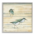 thumbnail image 1 of Stupell Industries Transitional Oceanside Sandpipers Beach Birds Gray Framed Giclee Art, 24 x 24, by Paul Brent, 1 of 8