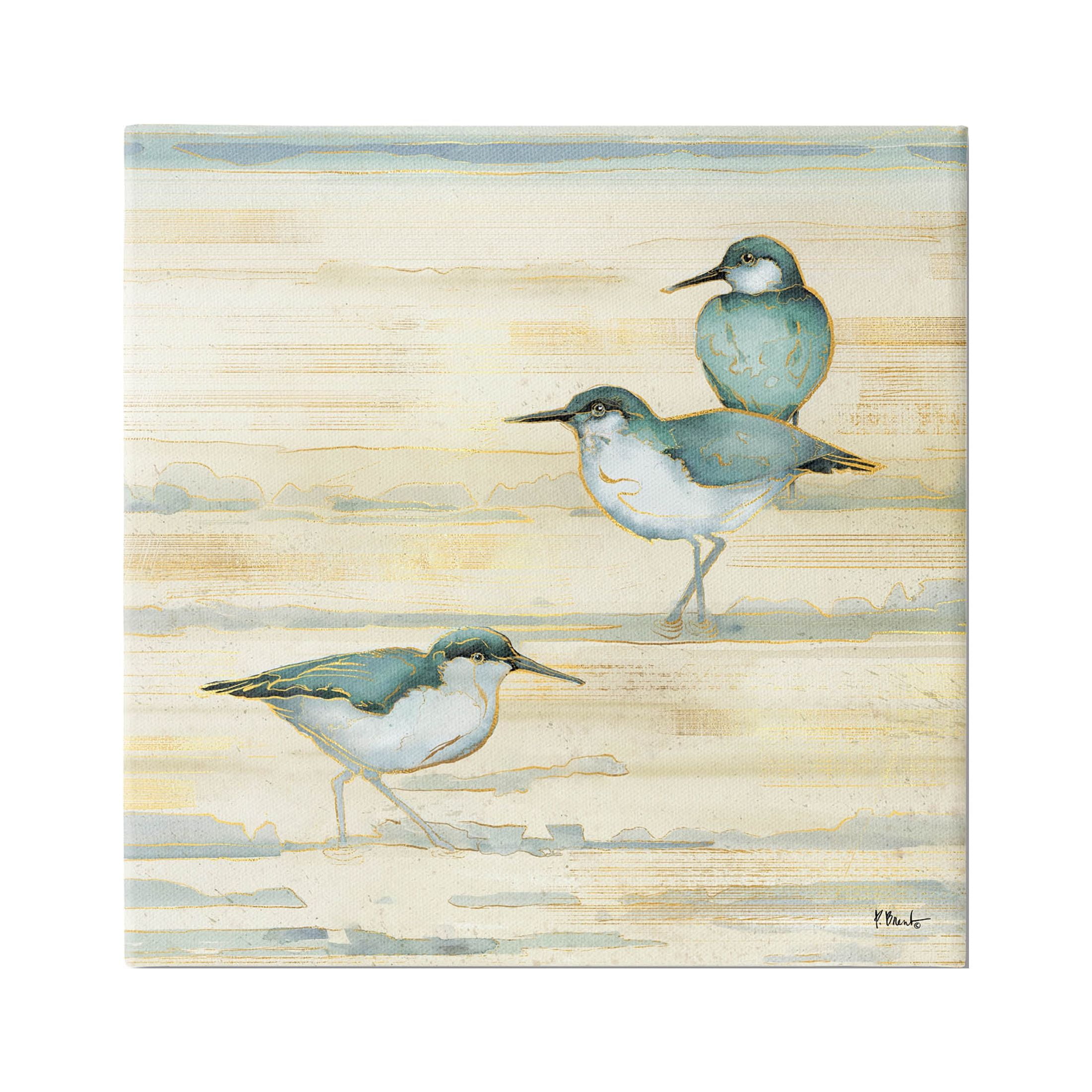Stupell Industries Oceanside Sandpipers Summer Coast Graphic Art Gallery Wrapped Canvas Print Wall Art, Design by Paul Brent