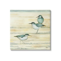 Stupell Industries Oceanside Sandpipers Summer Coast Graphic Art Gallery Wrapped Canvas Print Wall Art, Design by Paul Brent