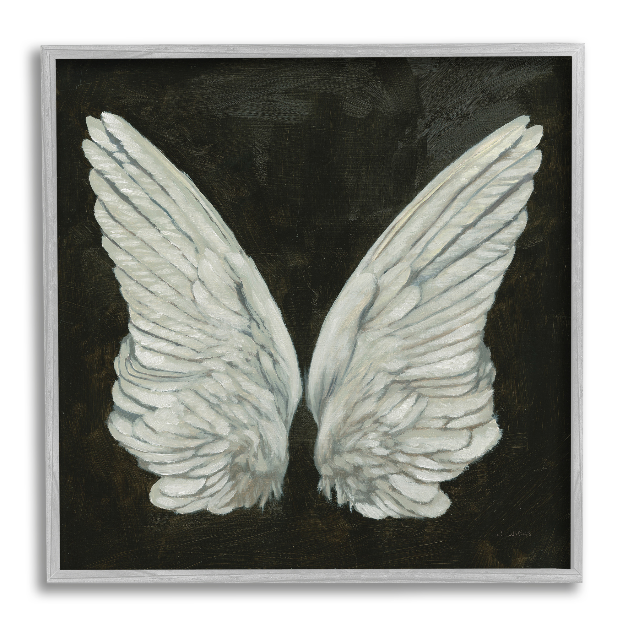 Stupell Industries Off-White Angel Wings White Feathers over Black, 24 x 24,Design by James Wiens