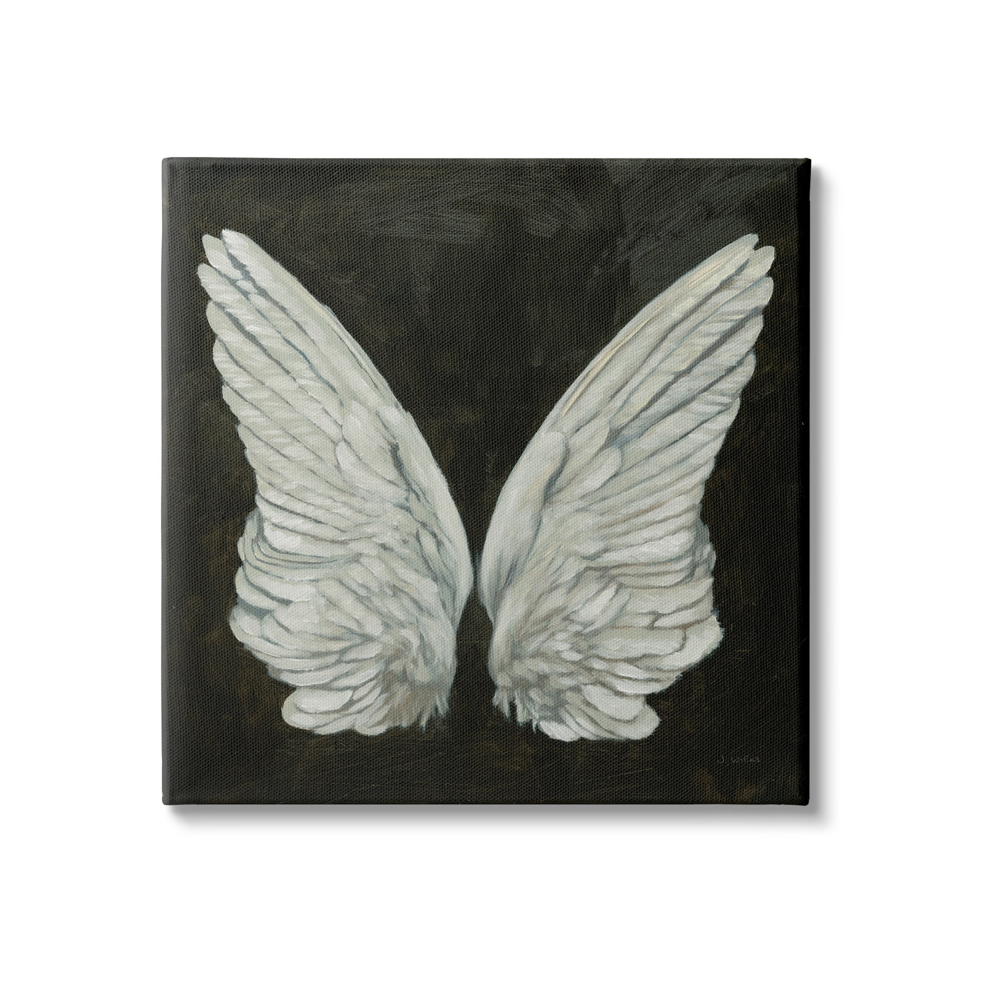 Stupell Industries Off-White Angel Wings White Feathers over Black, 24 x 24,Design by James Wiens