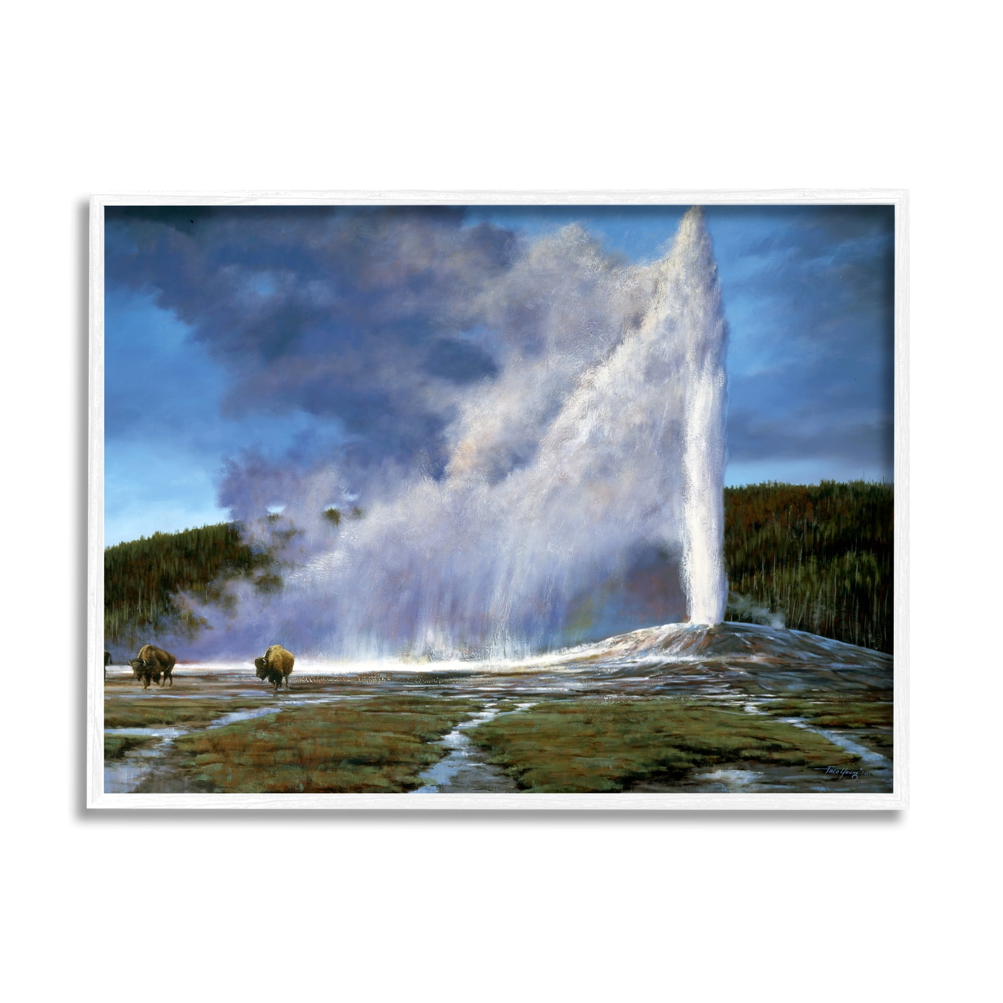 Old Faithful Geyser Landscape White Framed Art Print