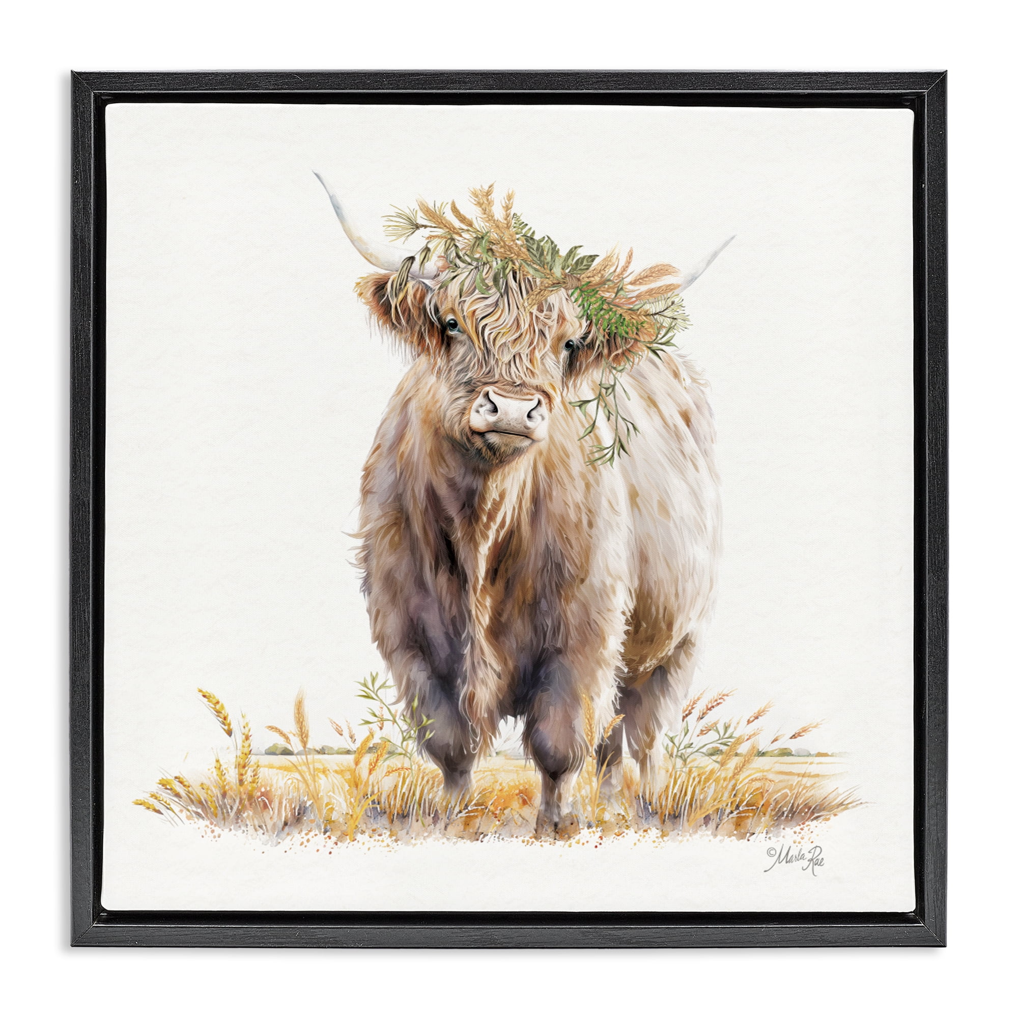 Stupell Industries Ollie the Highland Cattle Black Framed Floater Canvas Wall Art, design by Marla Rae