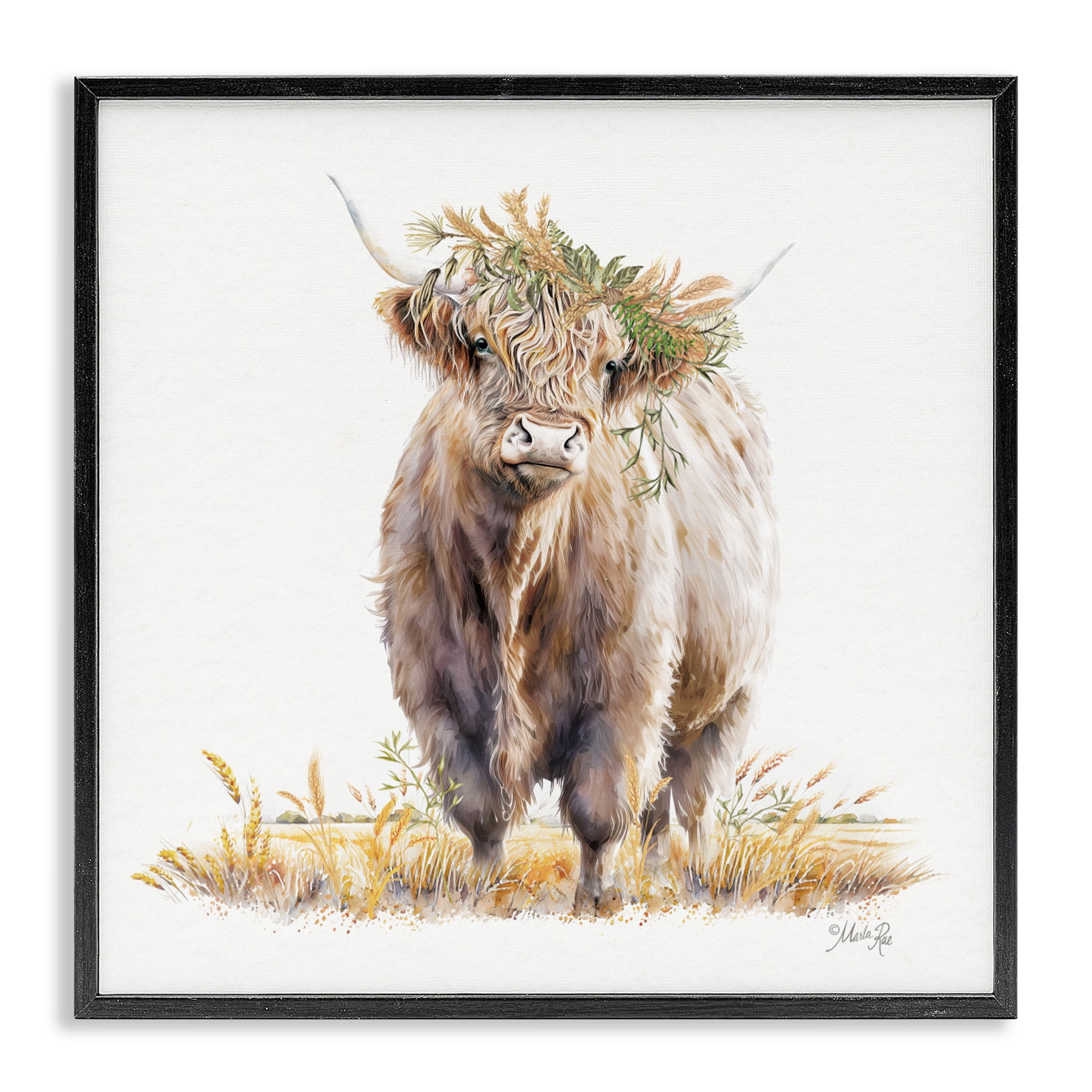 Stupell Industries Ollie the Highland Cattle Black Framed Giclee Art, design by Marla Rae