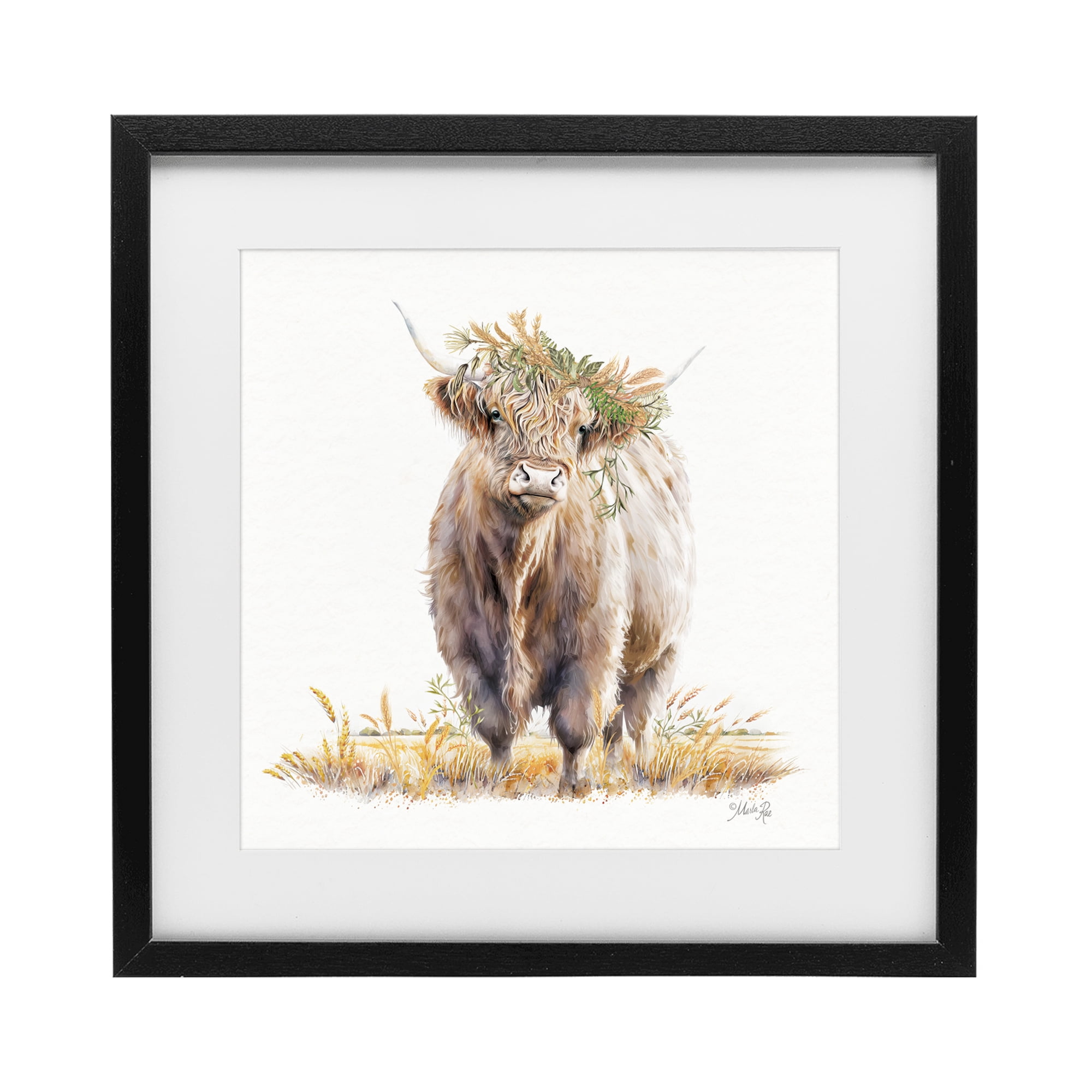 Stupell Industries Ollie the Highland Cattle Black Framed Print Under Glass, design by Marla Rae