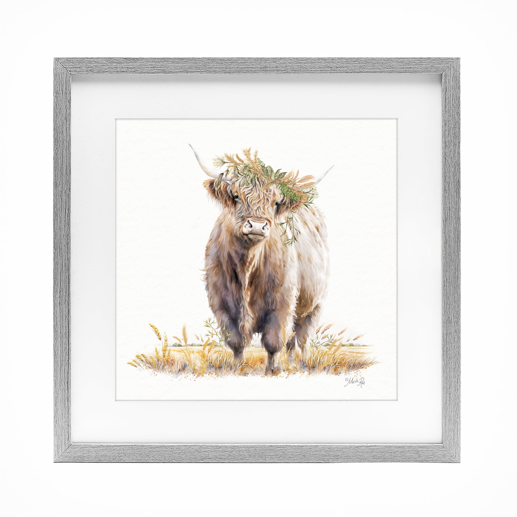 Stupell Industries Ollie the Highland Cattle Gray Framed Print Under Glass, design by Marla Rae