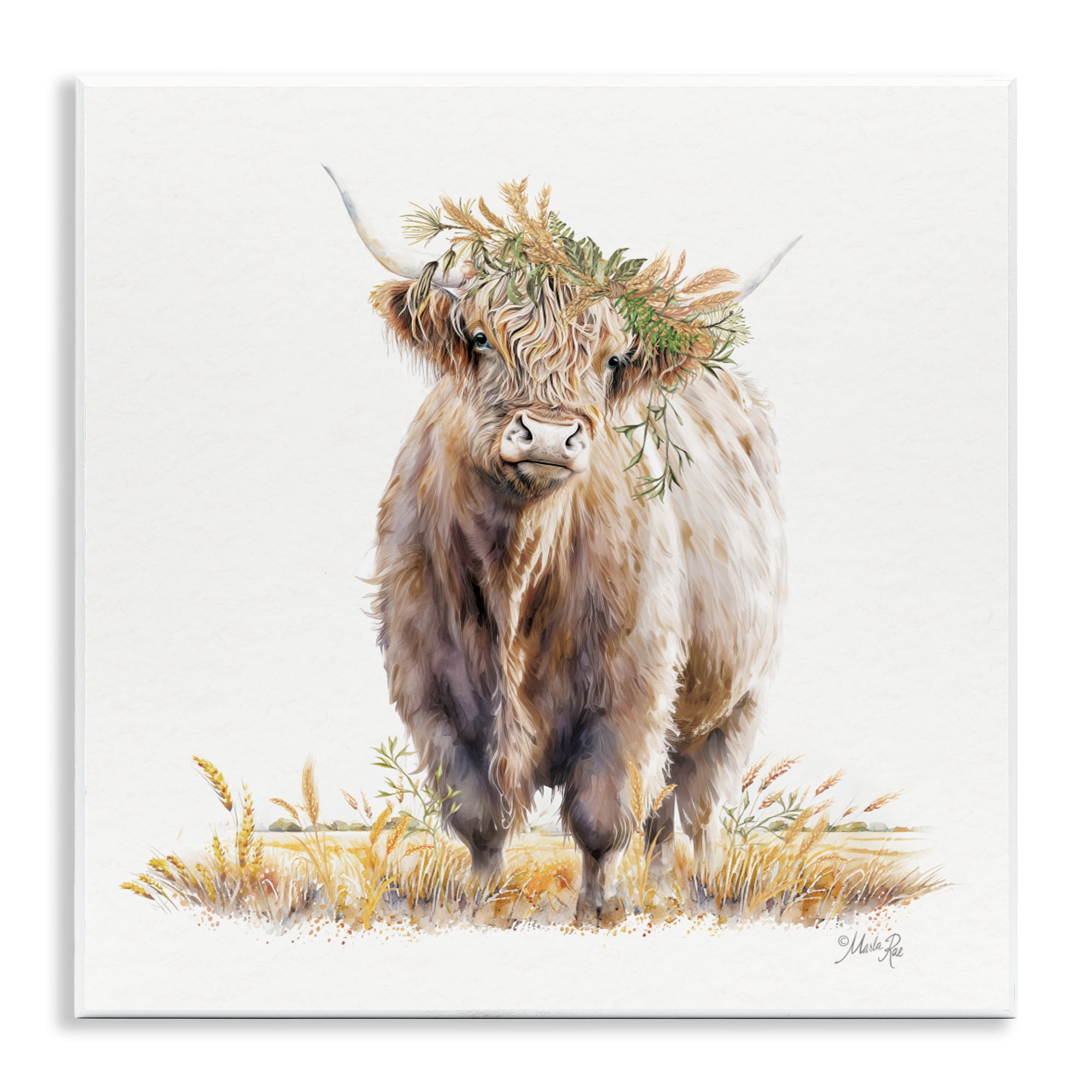 Stupell Industries Ollie the Highland Cattle Wall Plaque Art, design by Marla Rae