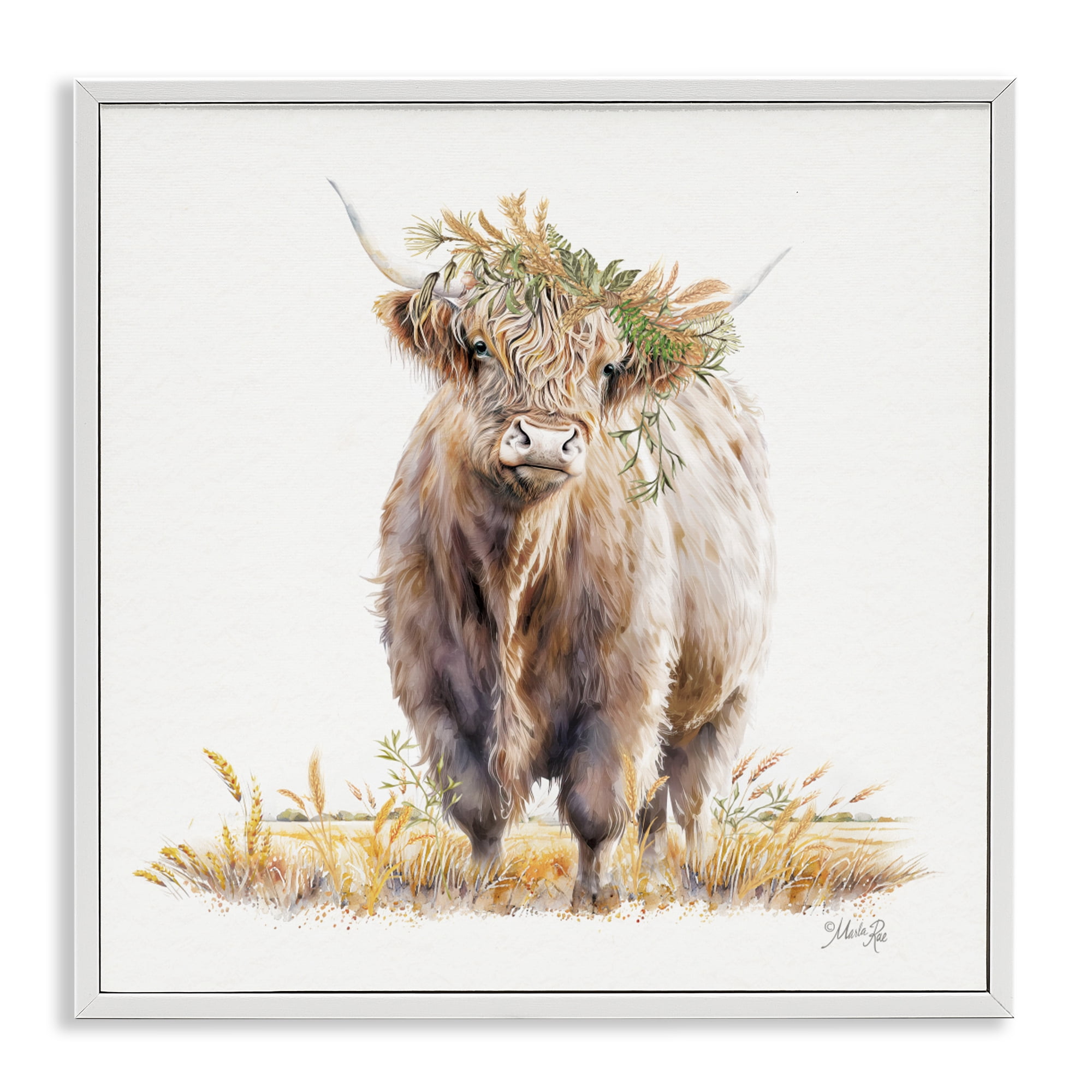 Stupell Industries Ollie the Highland Cattle White Framed Giclee Art, design by Marla Rae